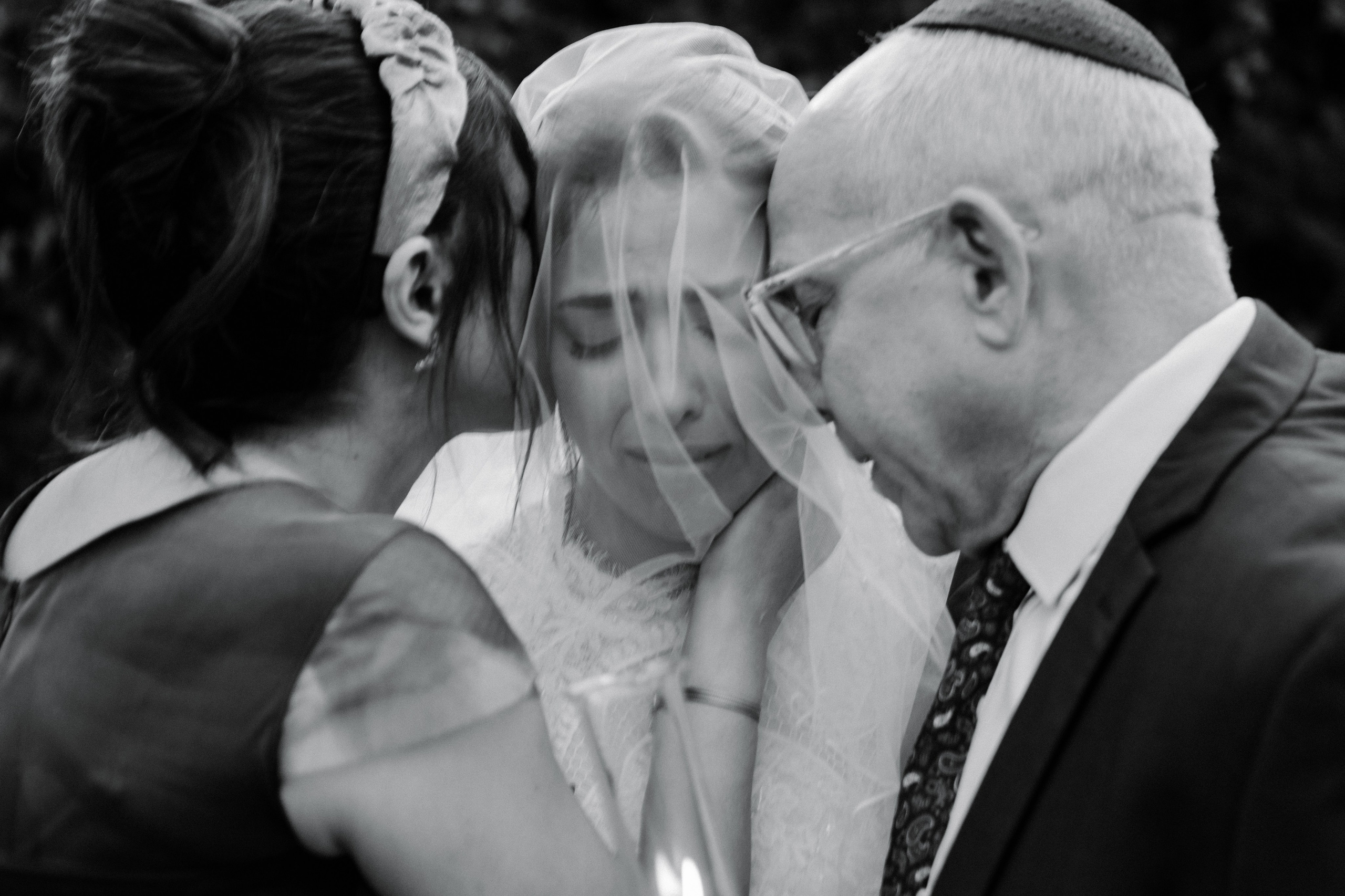 Beneath the Olive Trees. צלמת וצלם וידאו, הפועלים בישראל וברחבי העולם