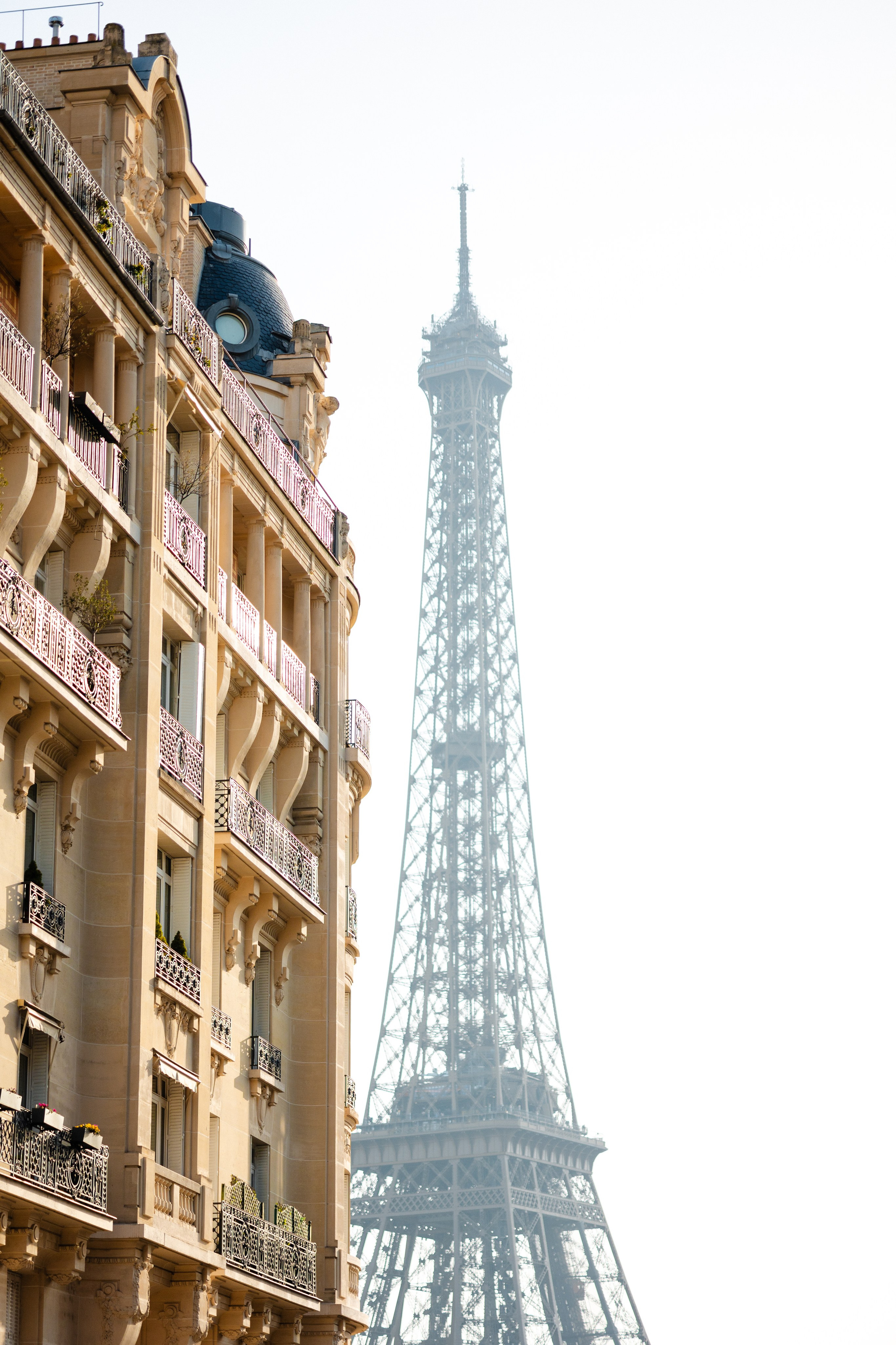 Moi, toi et notre Paris. צלמת וצלם וידאו, הפועלים בישראל וברחבי העולם