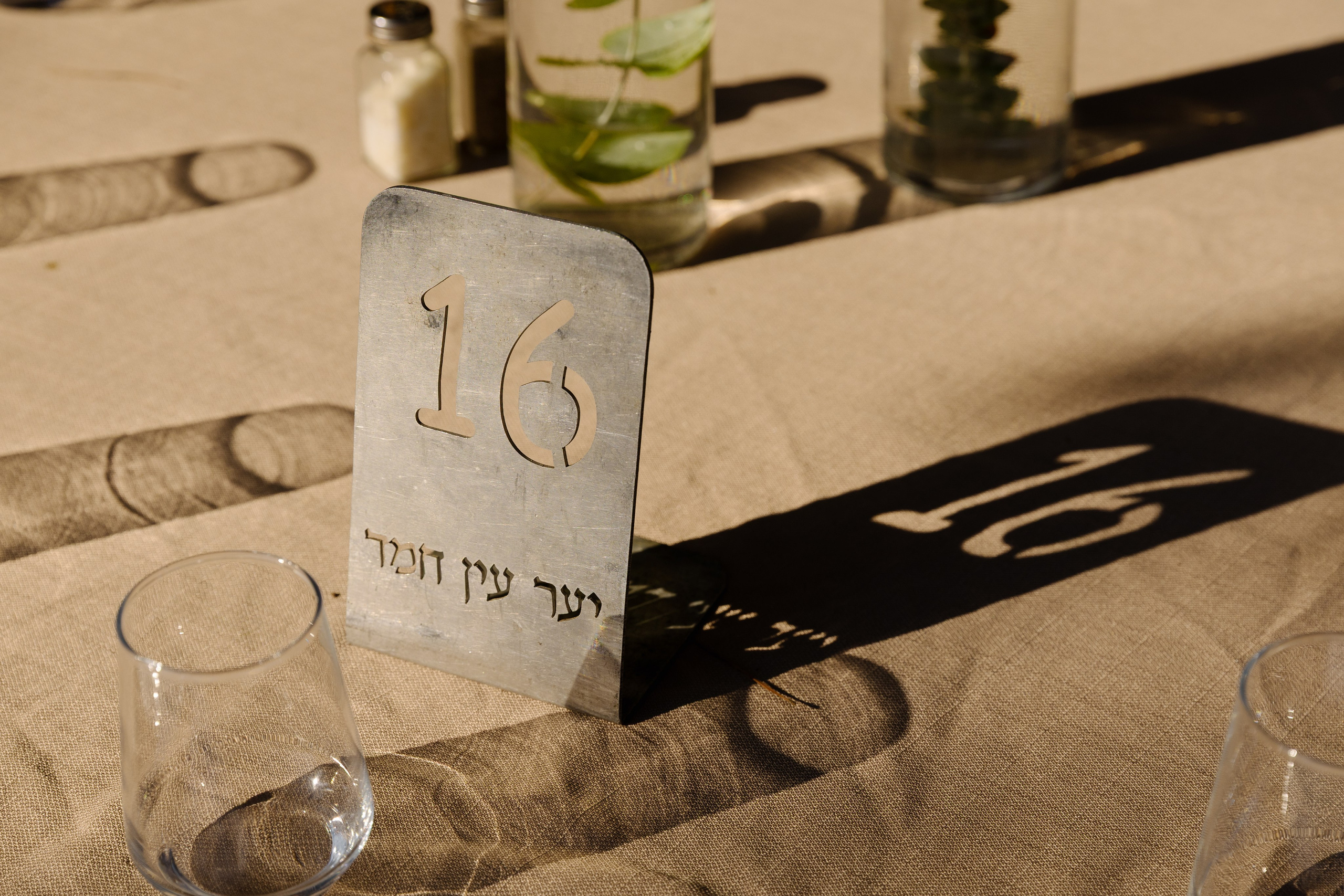 Beneath the Olive Trees. צלמת וצלם וידאו, הפועלים בישראל וברחבי העולם