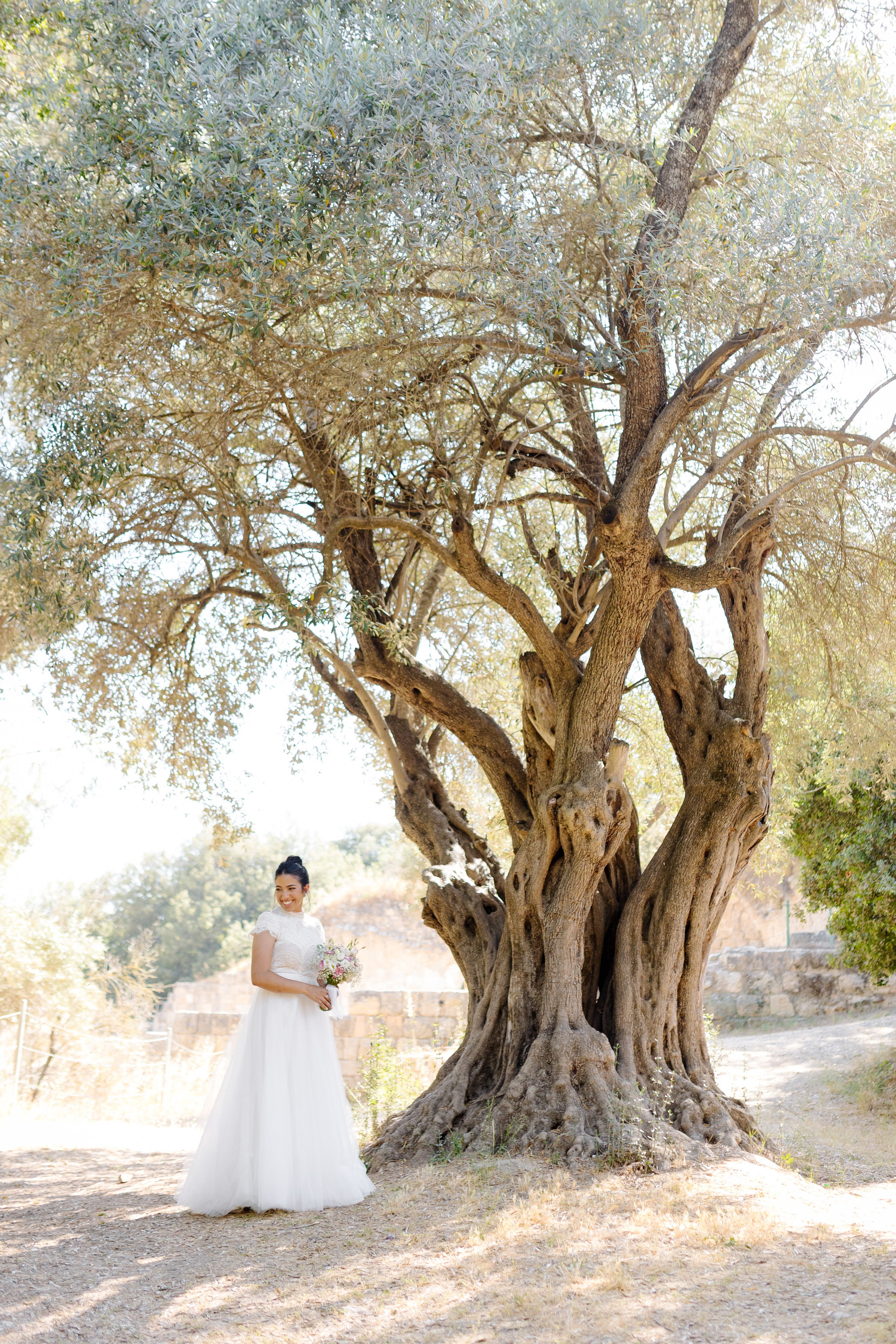 Beneath the Olive Trees. צלמת וצלם וידאו, הפועלים בישראל וברחבי העולם