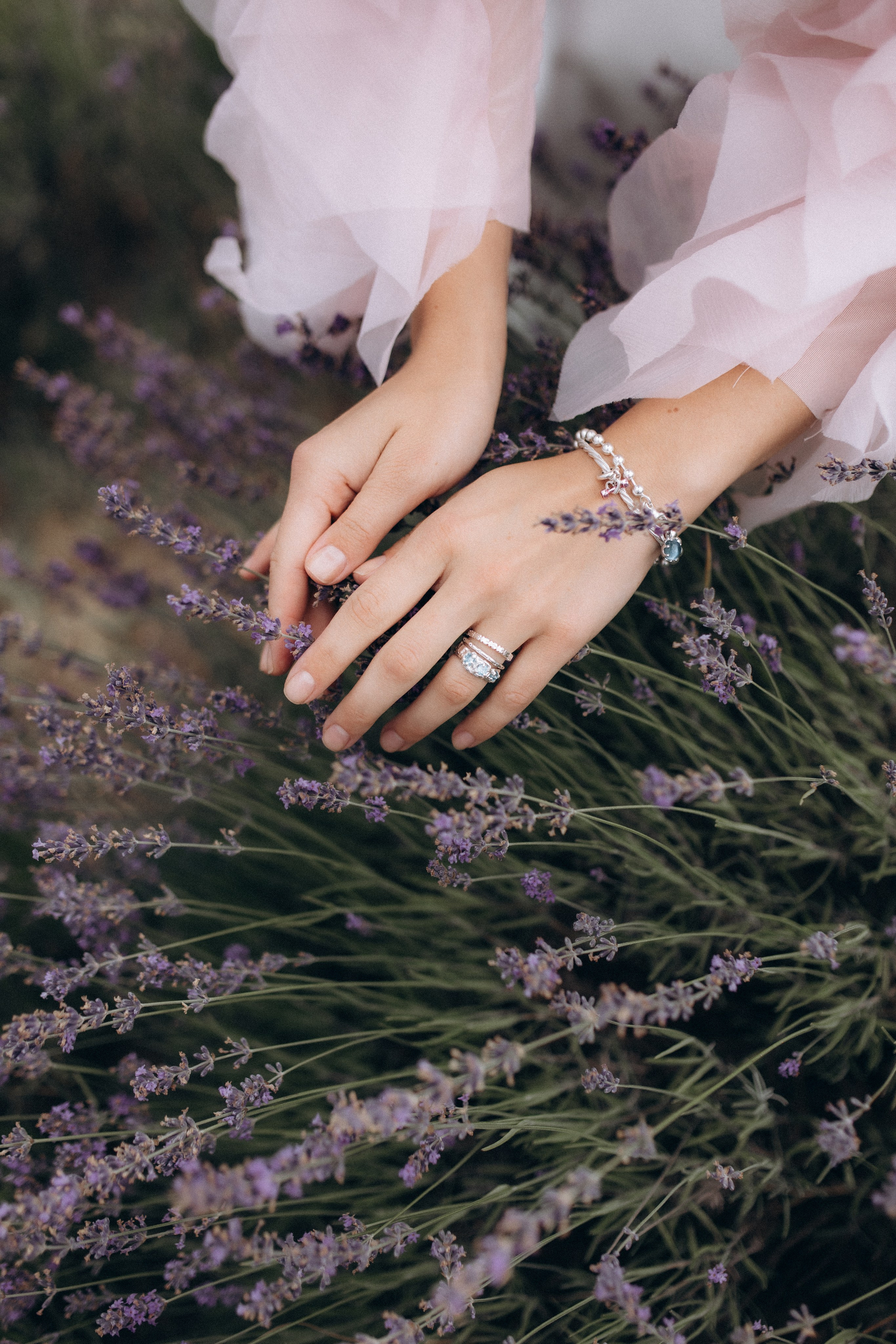 Provence, with Love (2025). Https://shi-photo.com/