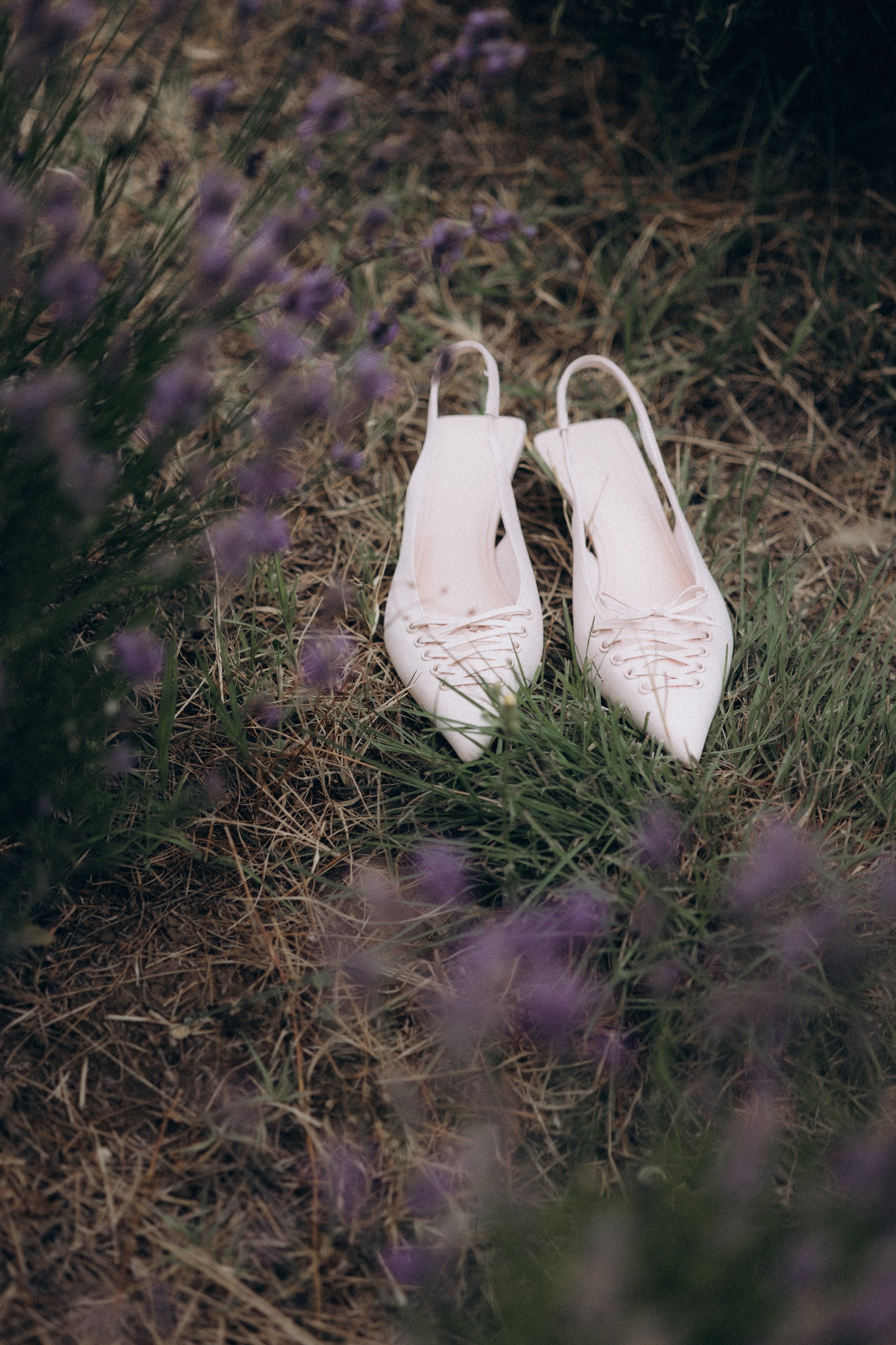 Provence, with Love (2025). Https://shi-photo.com/