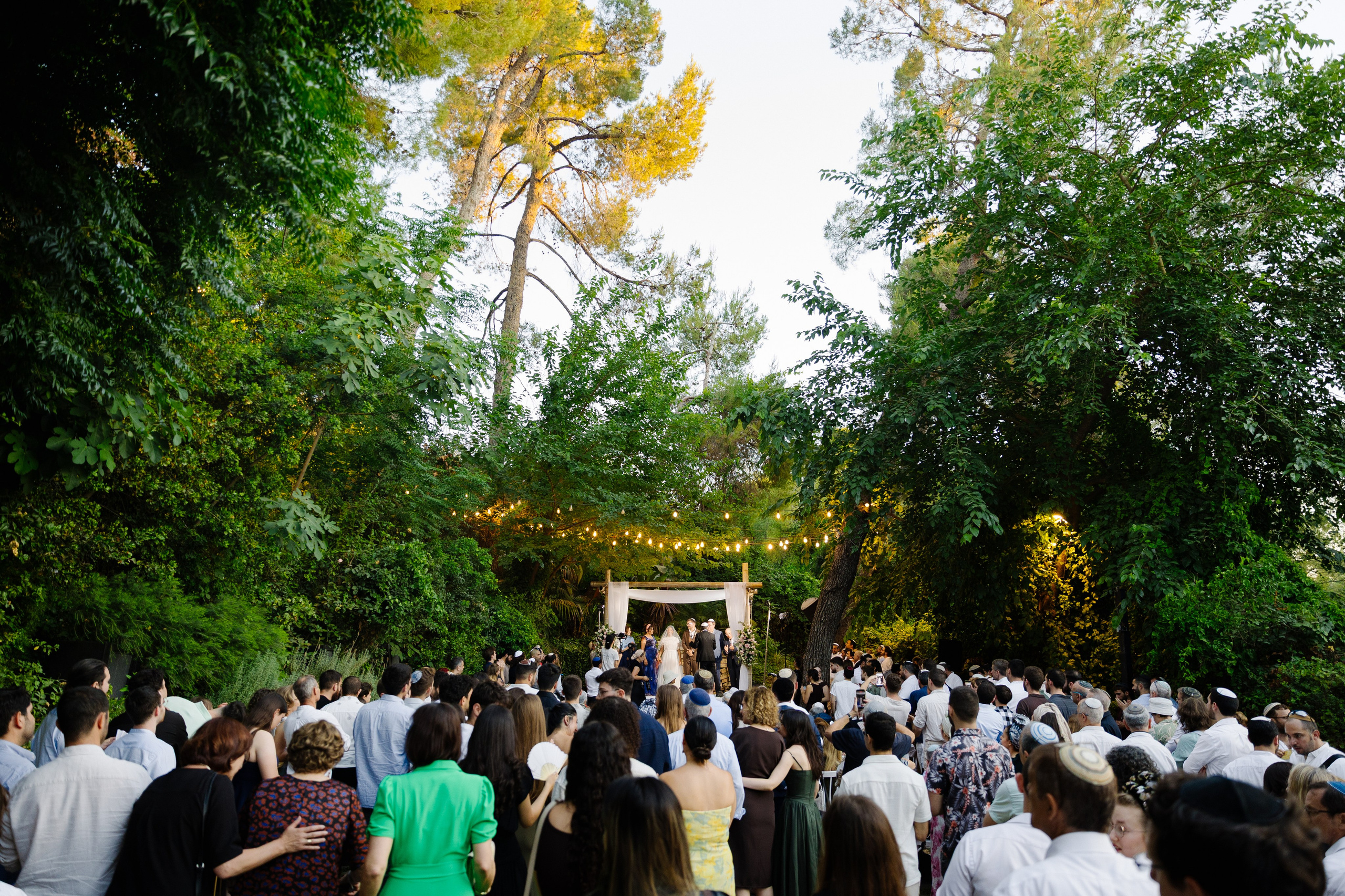 Beneath the Olive Trees. צלמת וצלם וידאו, הפועלים בישראל וברחבי העולם