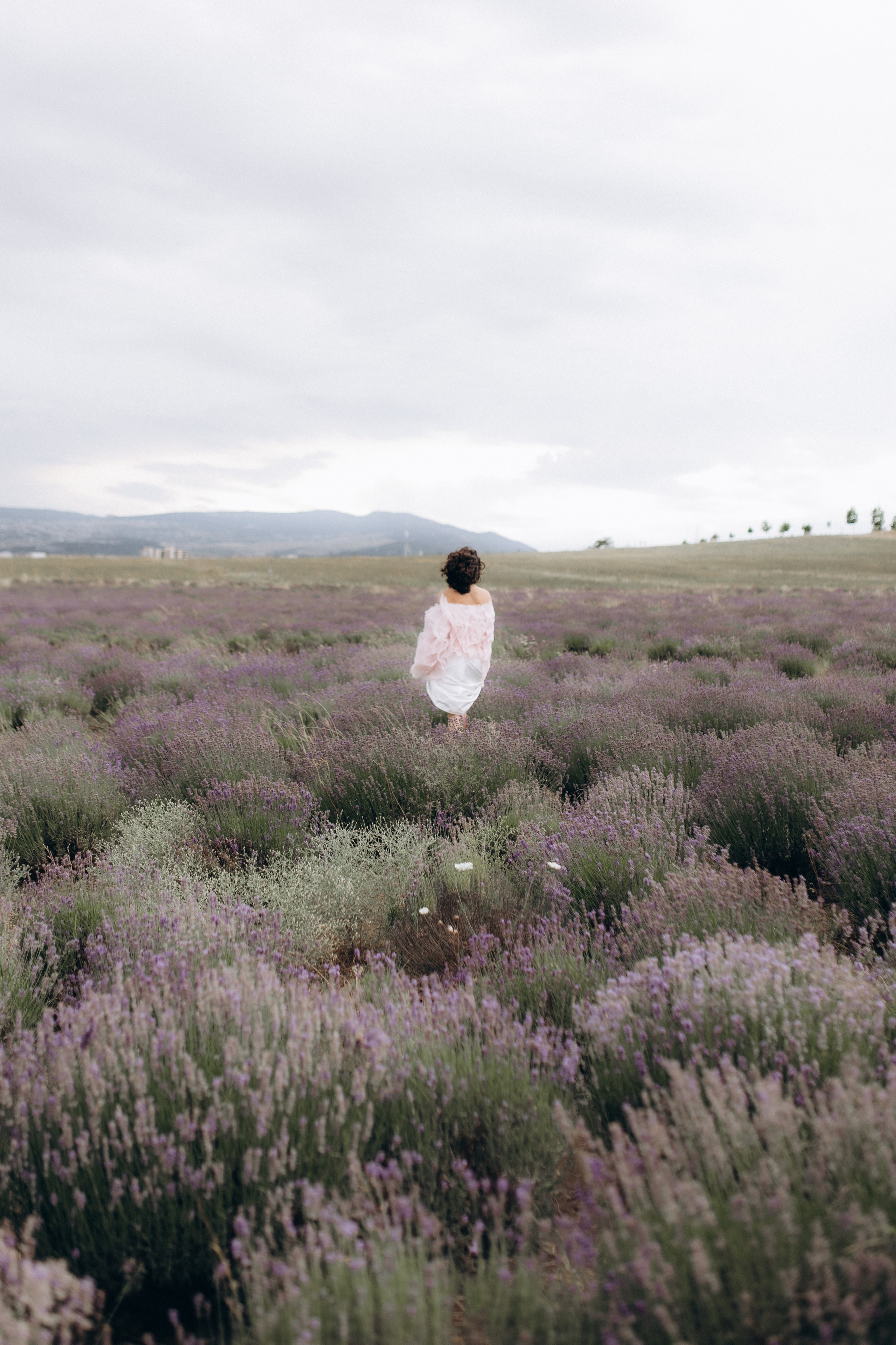 Provence, with Love (2025). Https://shi-photo.com/