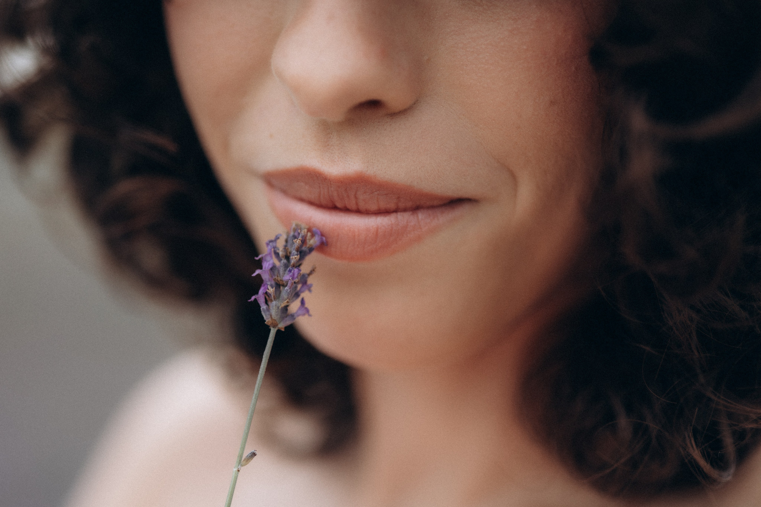 Provence, with Love (2025). Https://shi-photo.com/