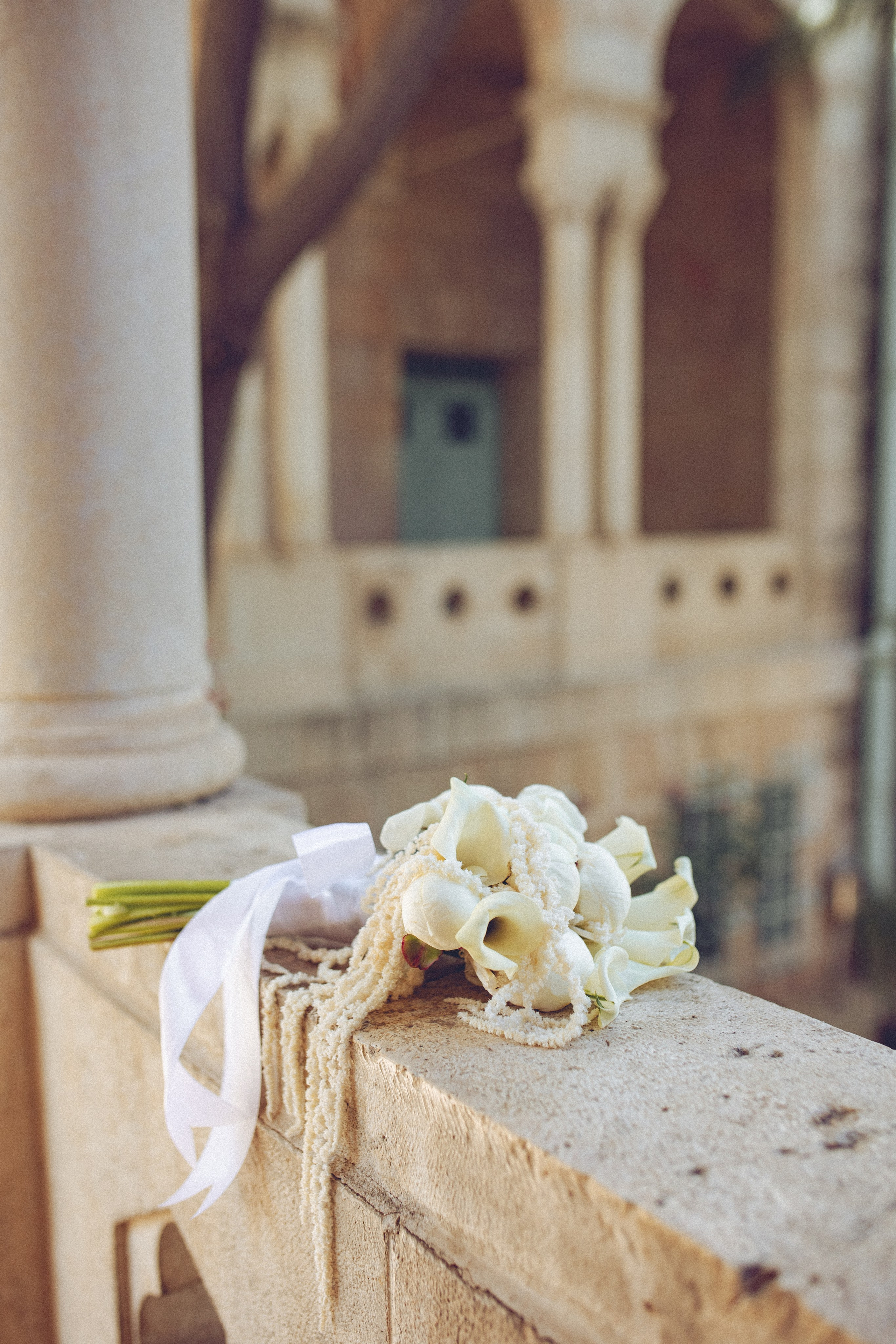 Mazel Tov, My Love (2026). צלמת וצלם וידאו, הפועלים בישראל וברחבי העולם