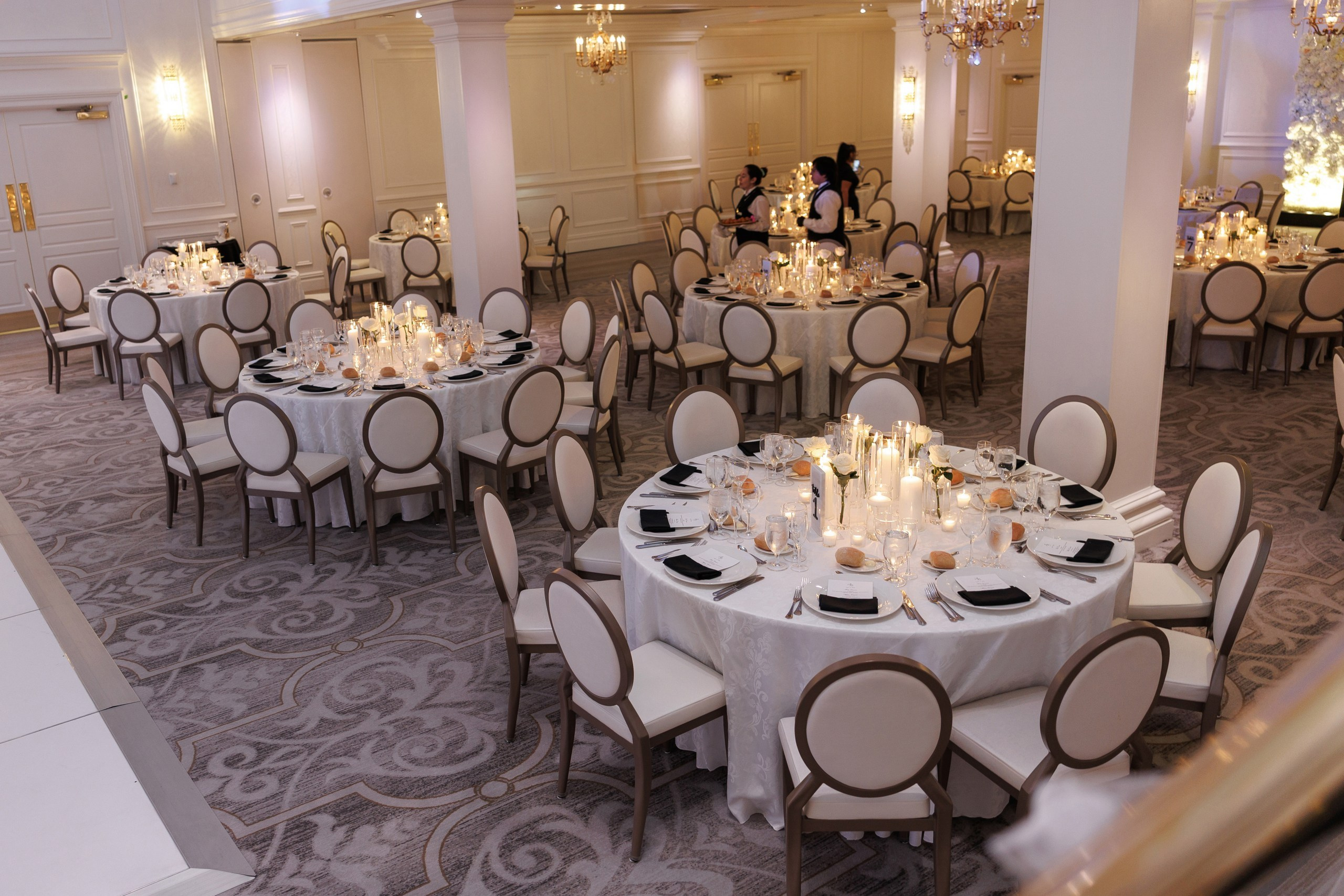 Brianna & Alec, The Palace at Somerset Park, NL. Wedding Photo & Video
