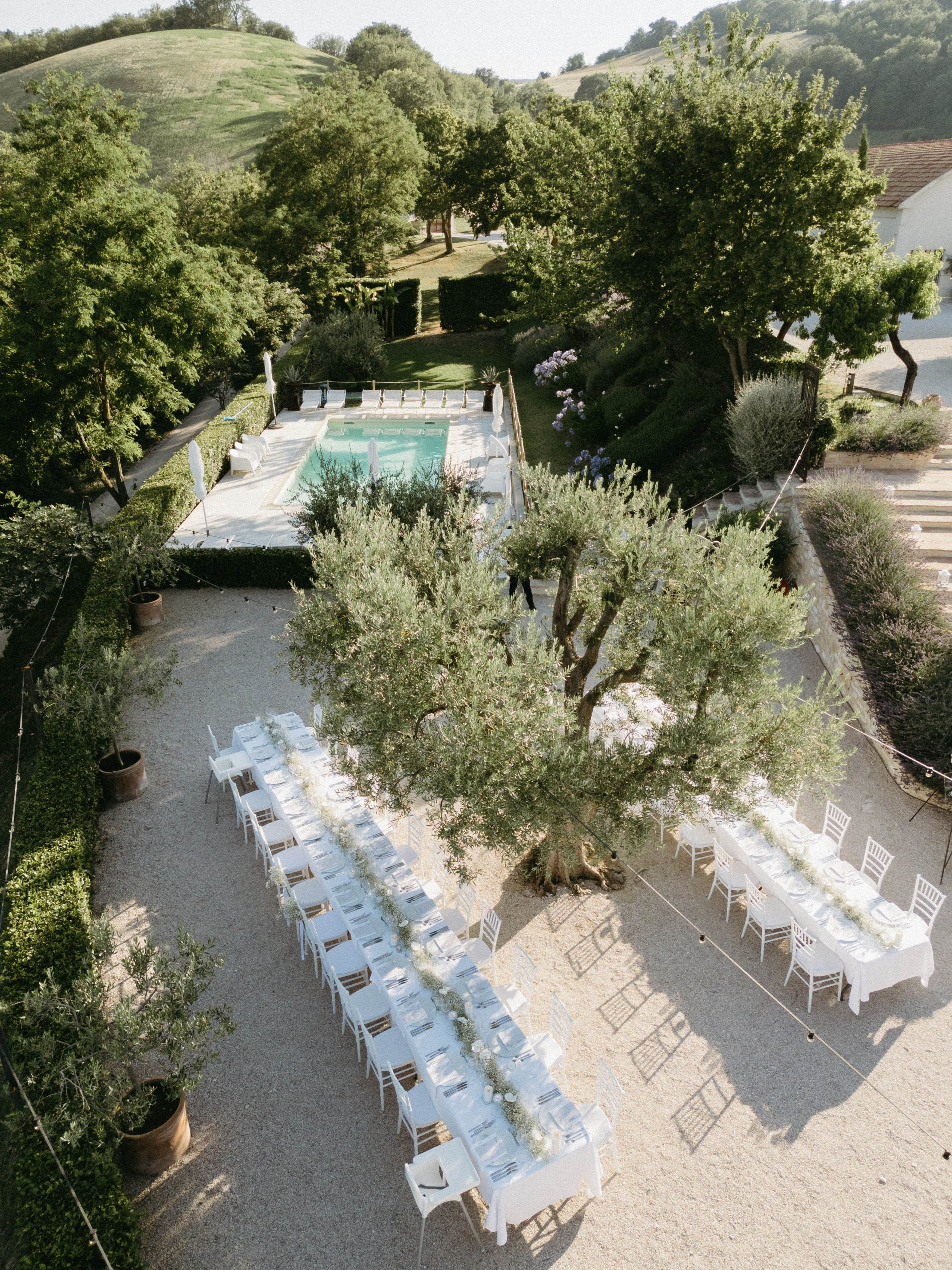 Sofia&Falk. Весільний фотограф Вікторія Саврук