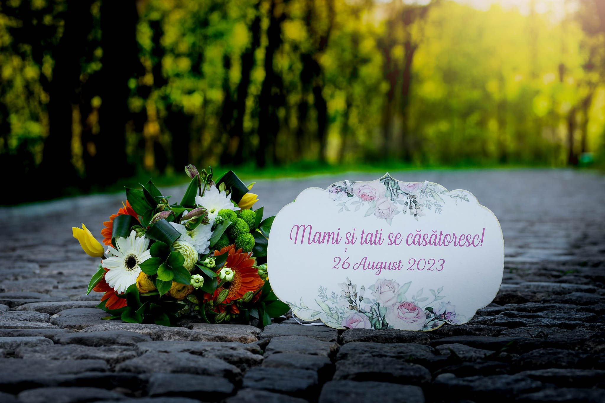 PreWedding. Dream Studio Galați – ședințe foto profesionale pentru familie, portrete și evenimente