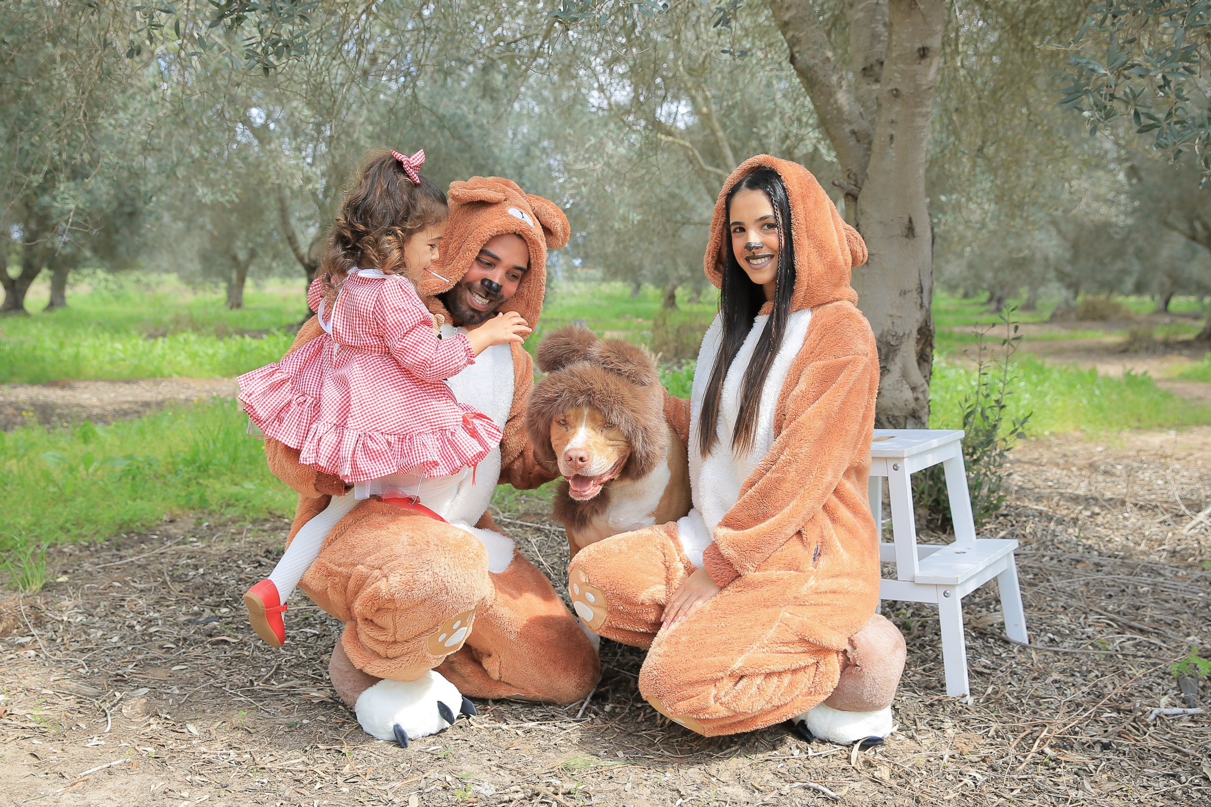 צילומי פורים בטבע. דף בית