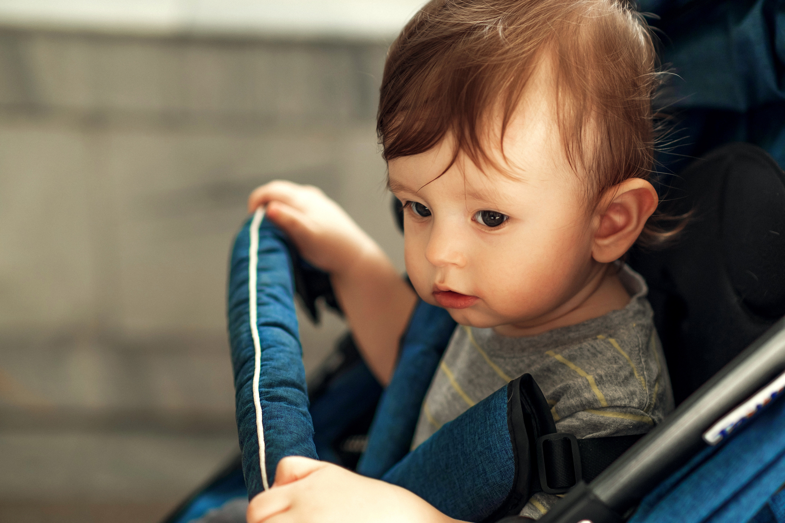 Прогулка по зоопарку. Фотограф-инноватор в Самарканде Вячеслав Новосёлов