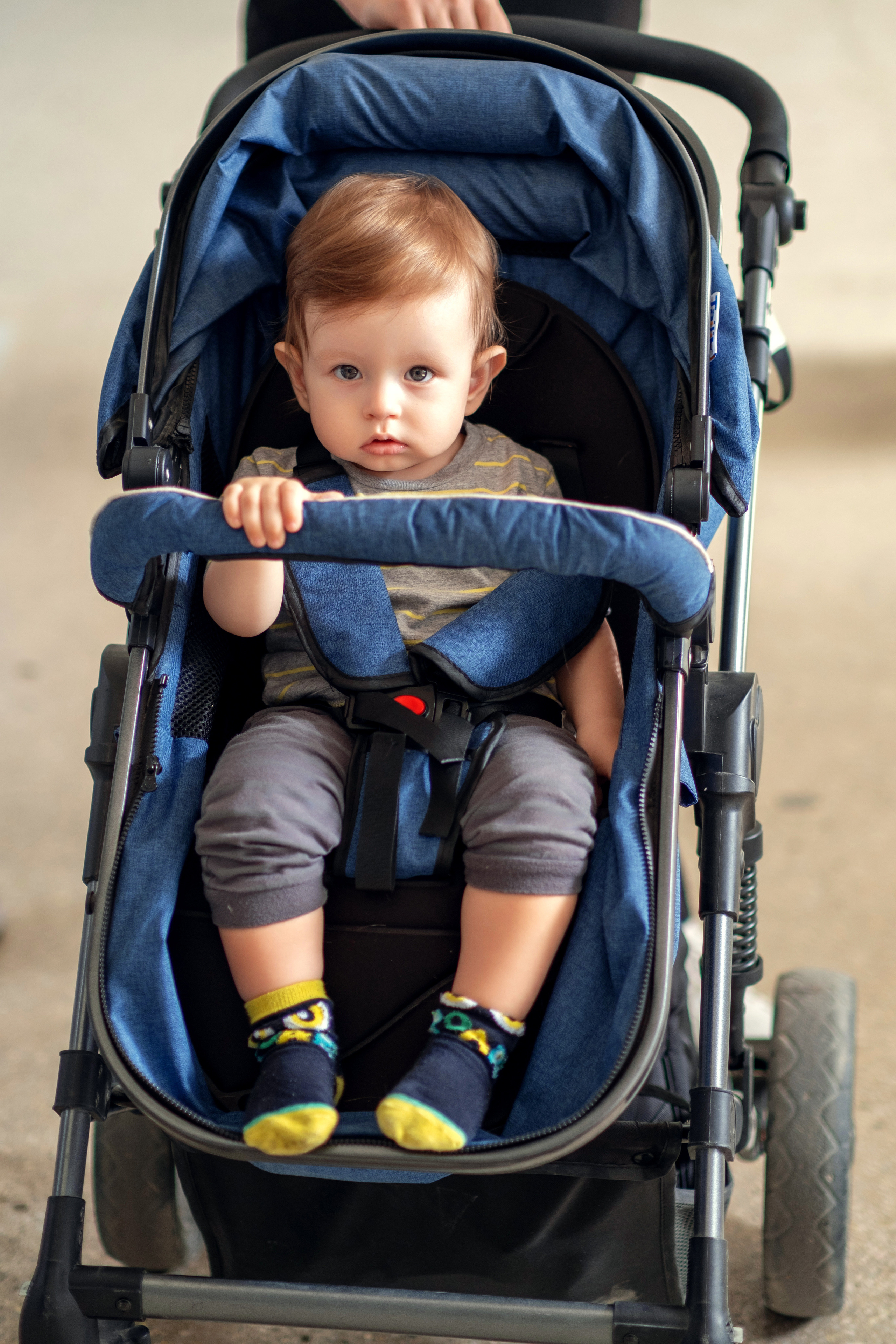 Прогулка по зоопарку. Фотограф-инноватор в Самарканде Вячеслав Новосёлов