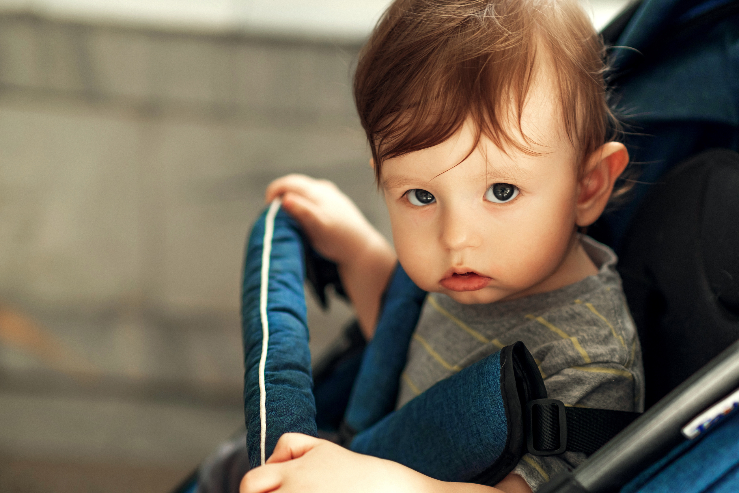 Прогулка по зоопарку. Фотограф-инноватор в Самарканде Вячеслав Новосёлов