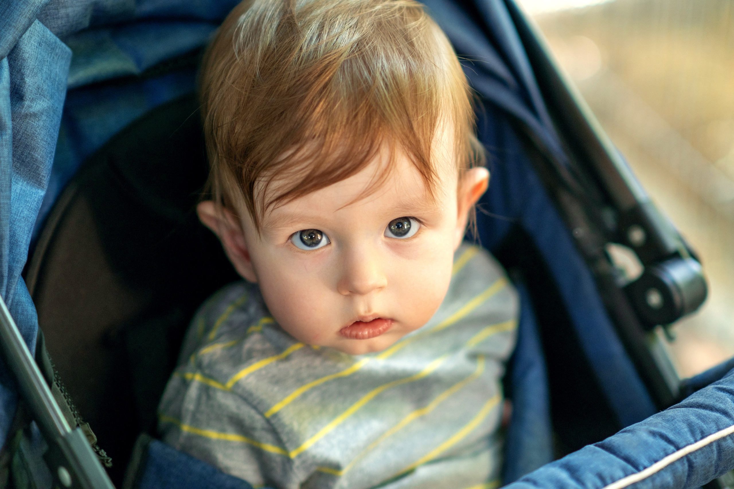 Прогулка по зоопарку. Фотограф-инноватор в Самарканде Вячеслав Новосёлов