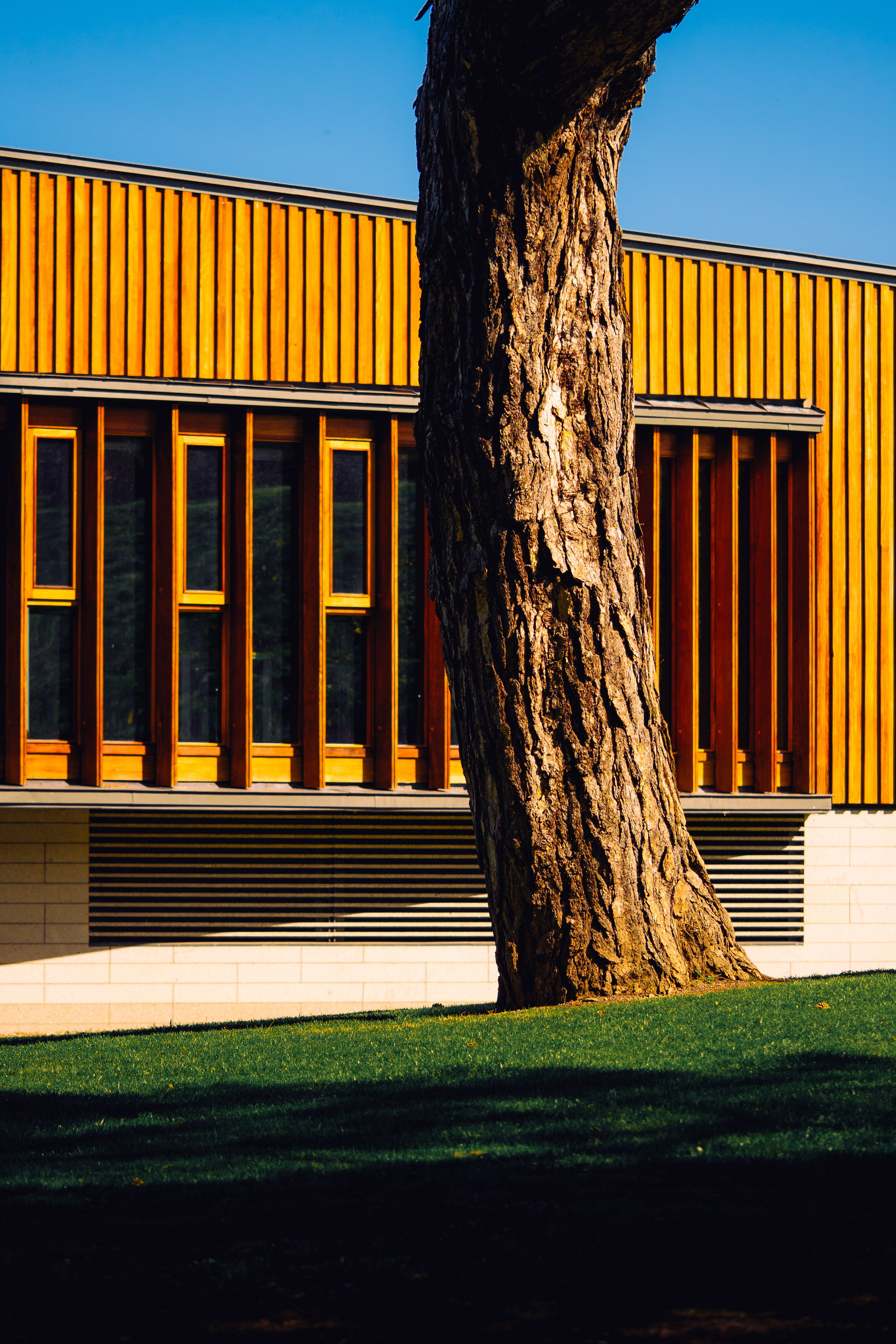 Работы Марии Шер. Sher.SCHOOL