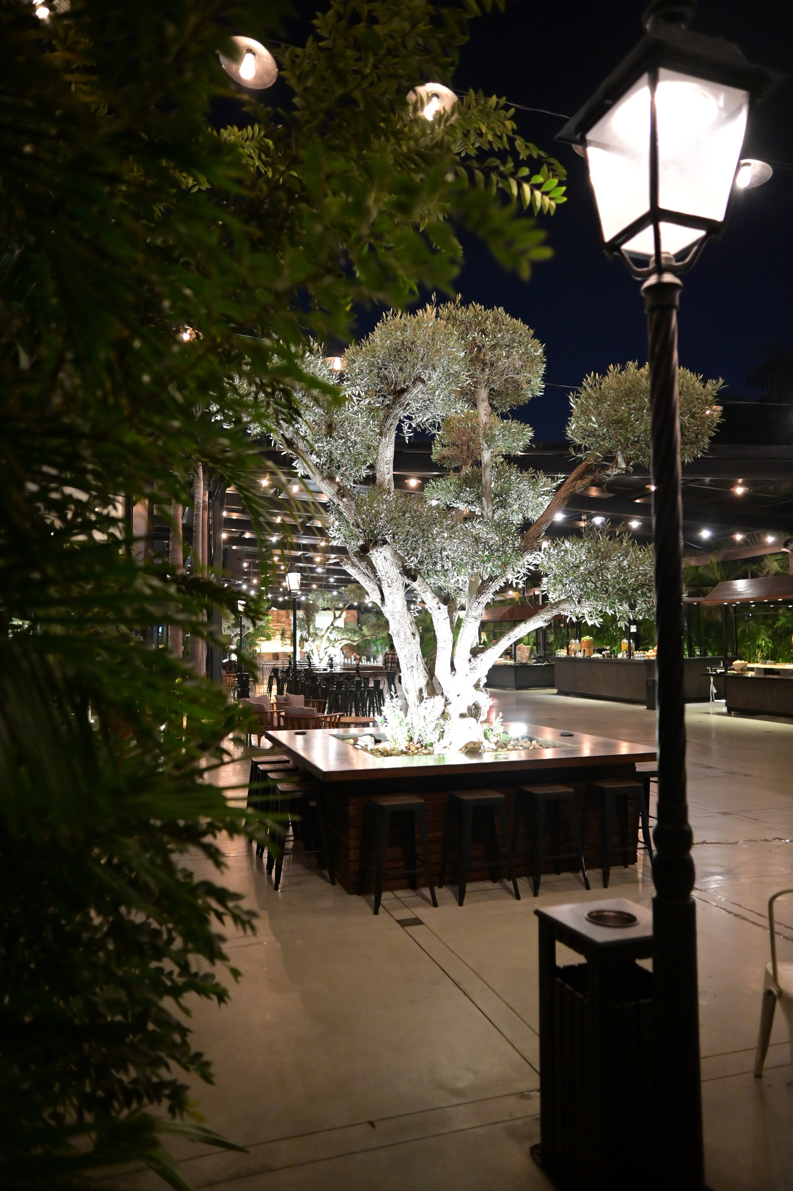 תרין TARIN עיצוב. Wedding and events photographers Studio Shalom