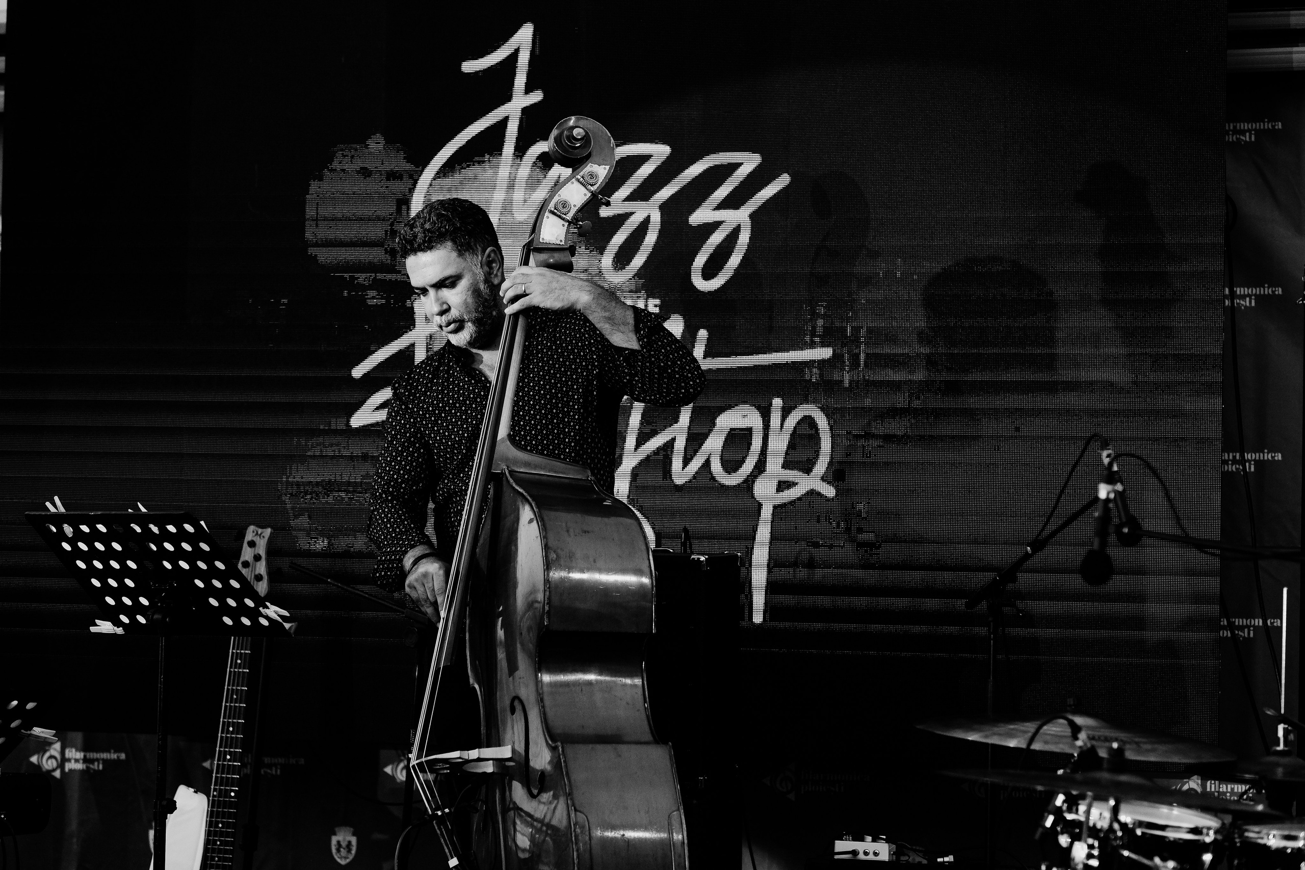 Razvan Cojanu. Hornetart