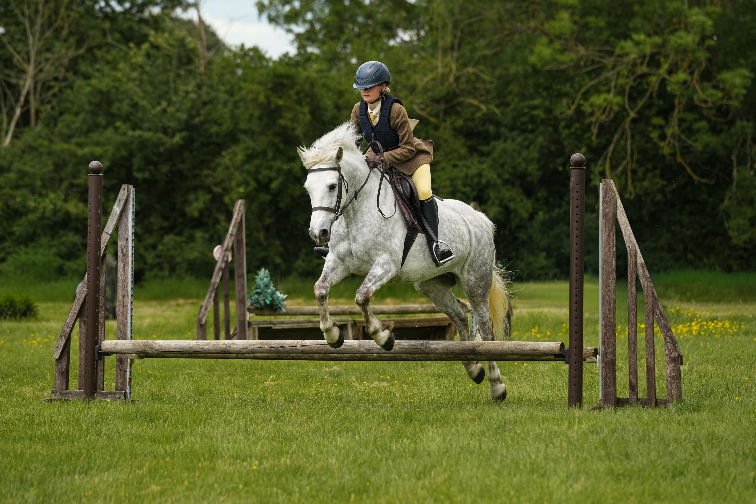 Show Jumping Photography in Leicestershire | Equine Action Shots by El. Leicestershire Equine Photography by El | Authentic Equine Portraits & Events