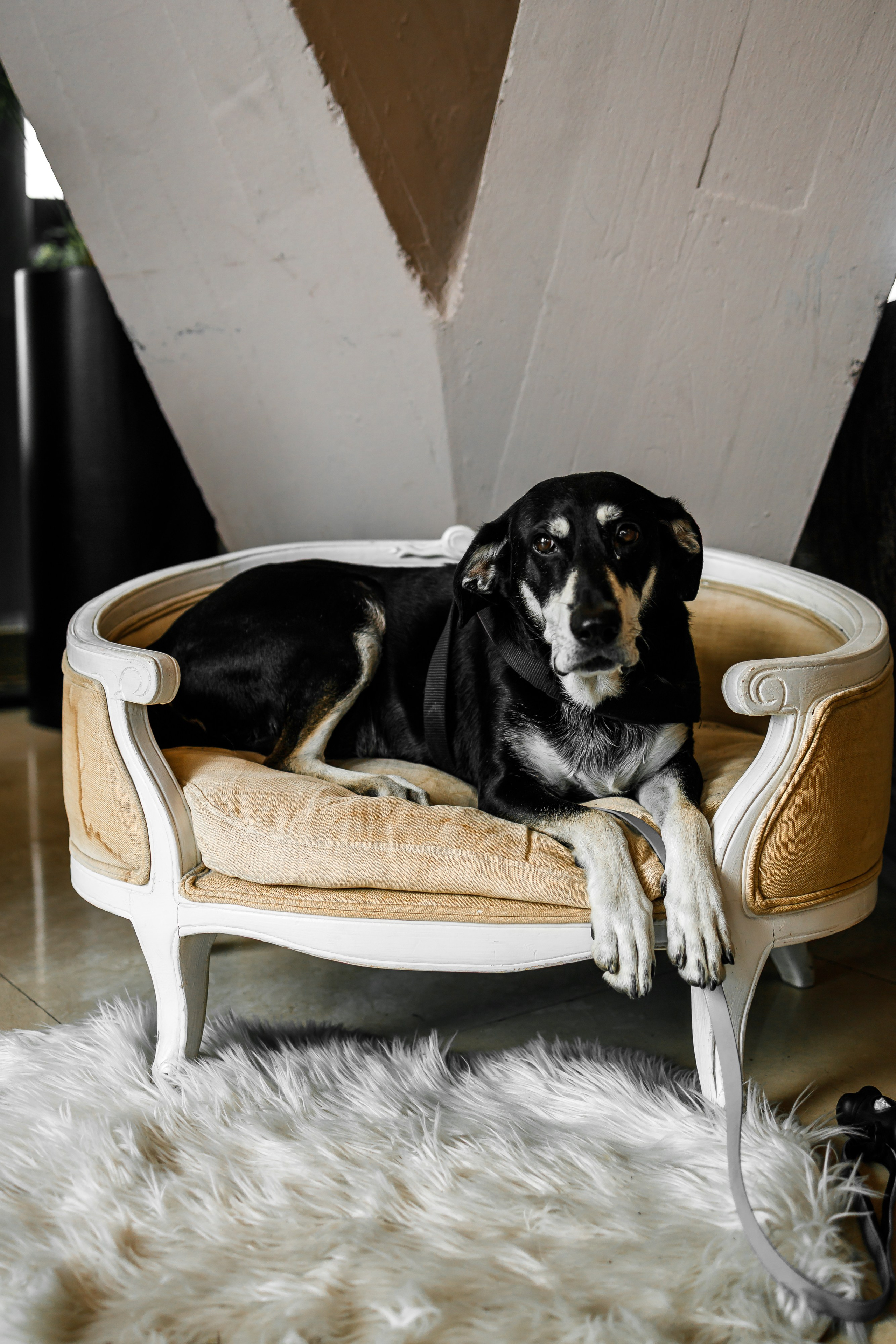 Hemingway bar Lisinski. Elena Gorobets. Photographer in Zagreb