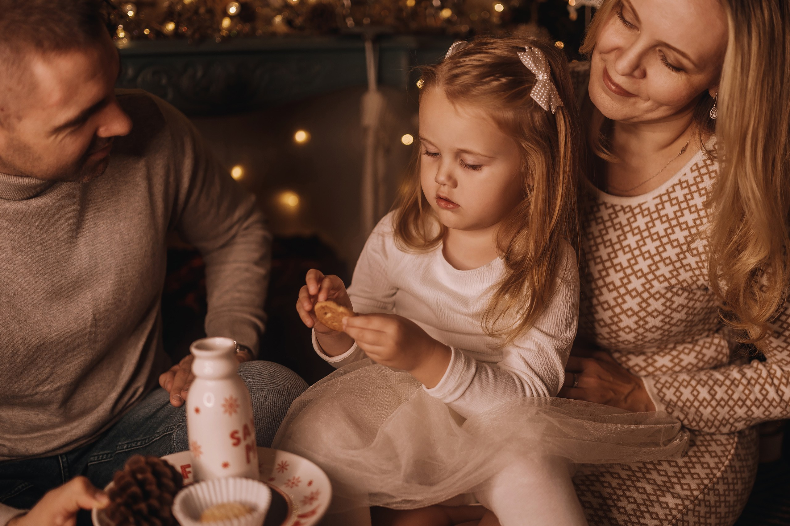 25.11.2023 Christmas Photoshoot. Wedding family event photographer in Chicago Nick Yushevich