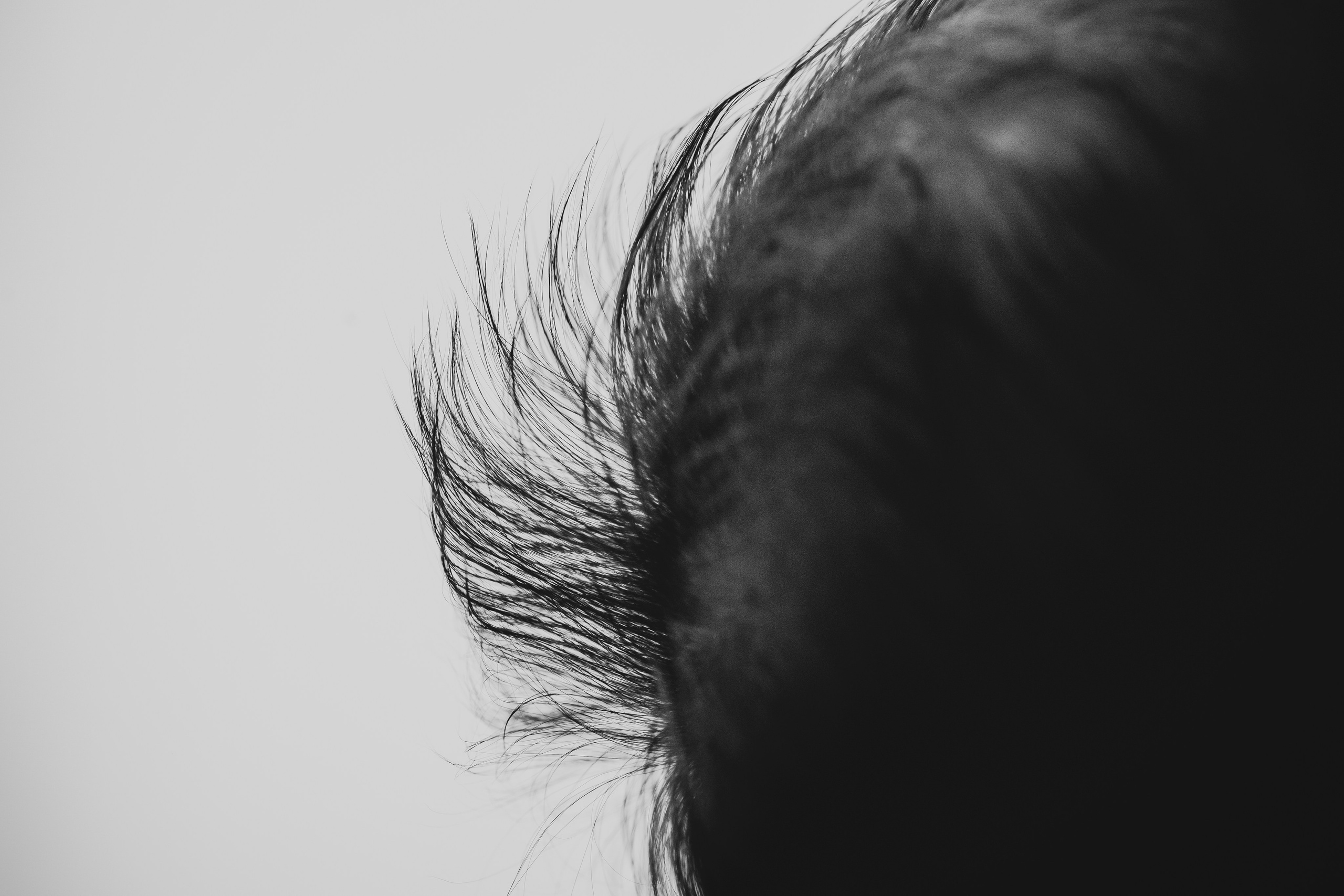 Newborn. Fotografo di famiglia, neonati, maternity, ritratti, matrimoni, cerimonie, Rimini