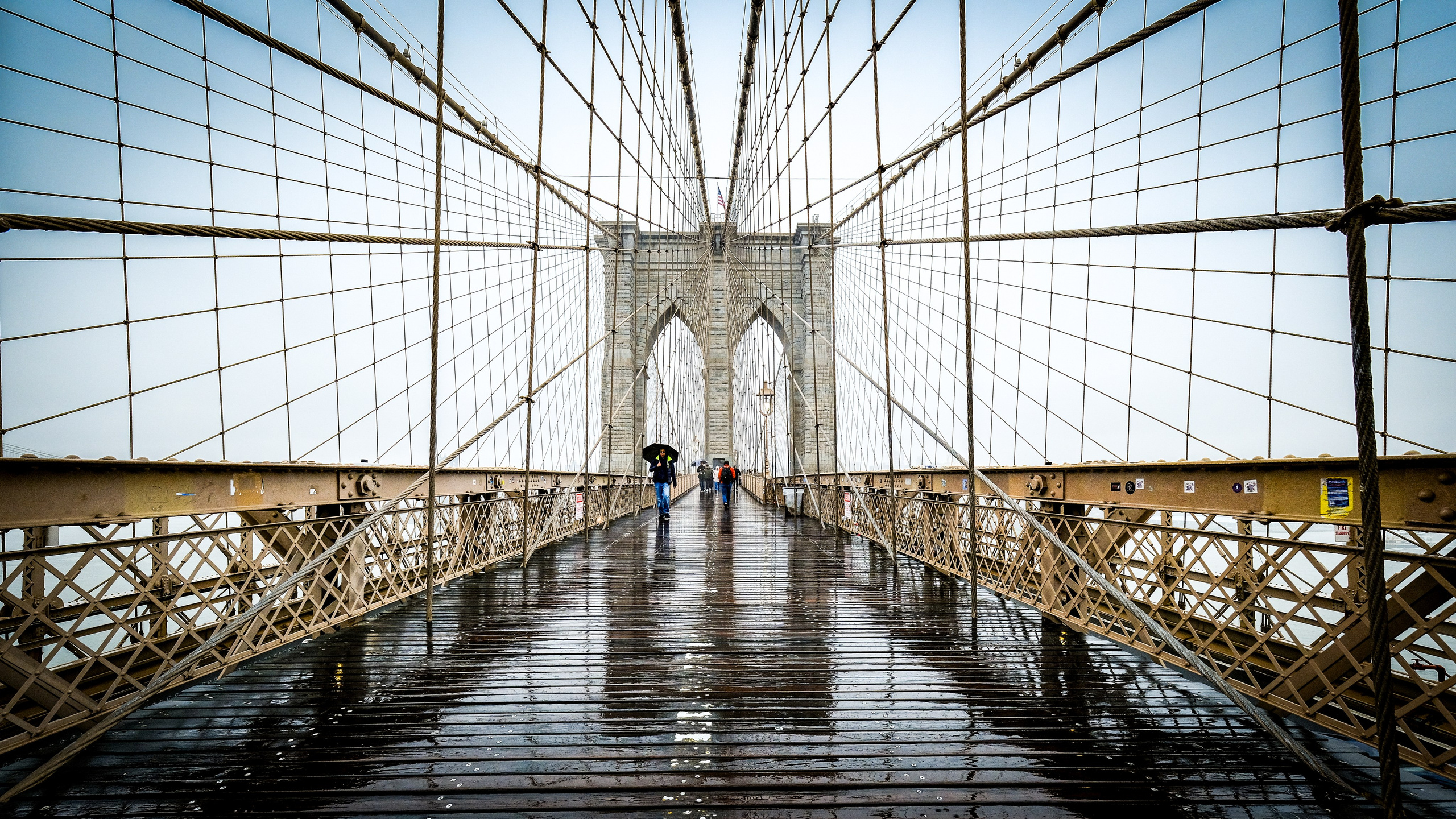 NEW YORK / 2025. Reportage concert portrait photography in the San Francisco Bay Area