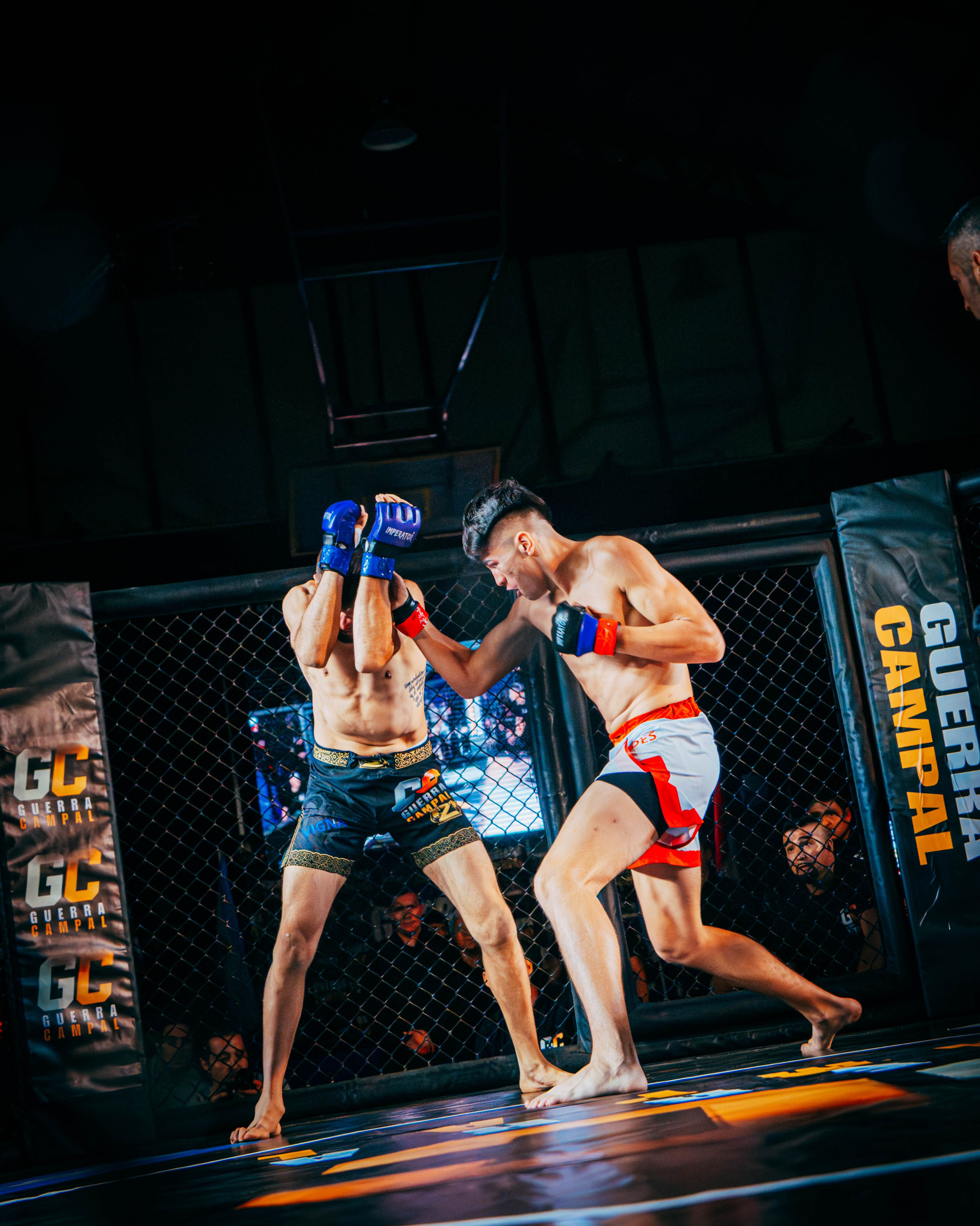 GUERRA CAMPAL. DEYA BELTRAN Maquilladora, fotógrafa y vídeos