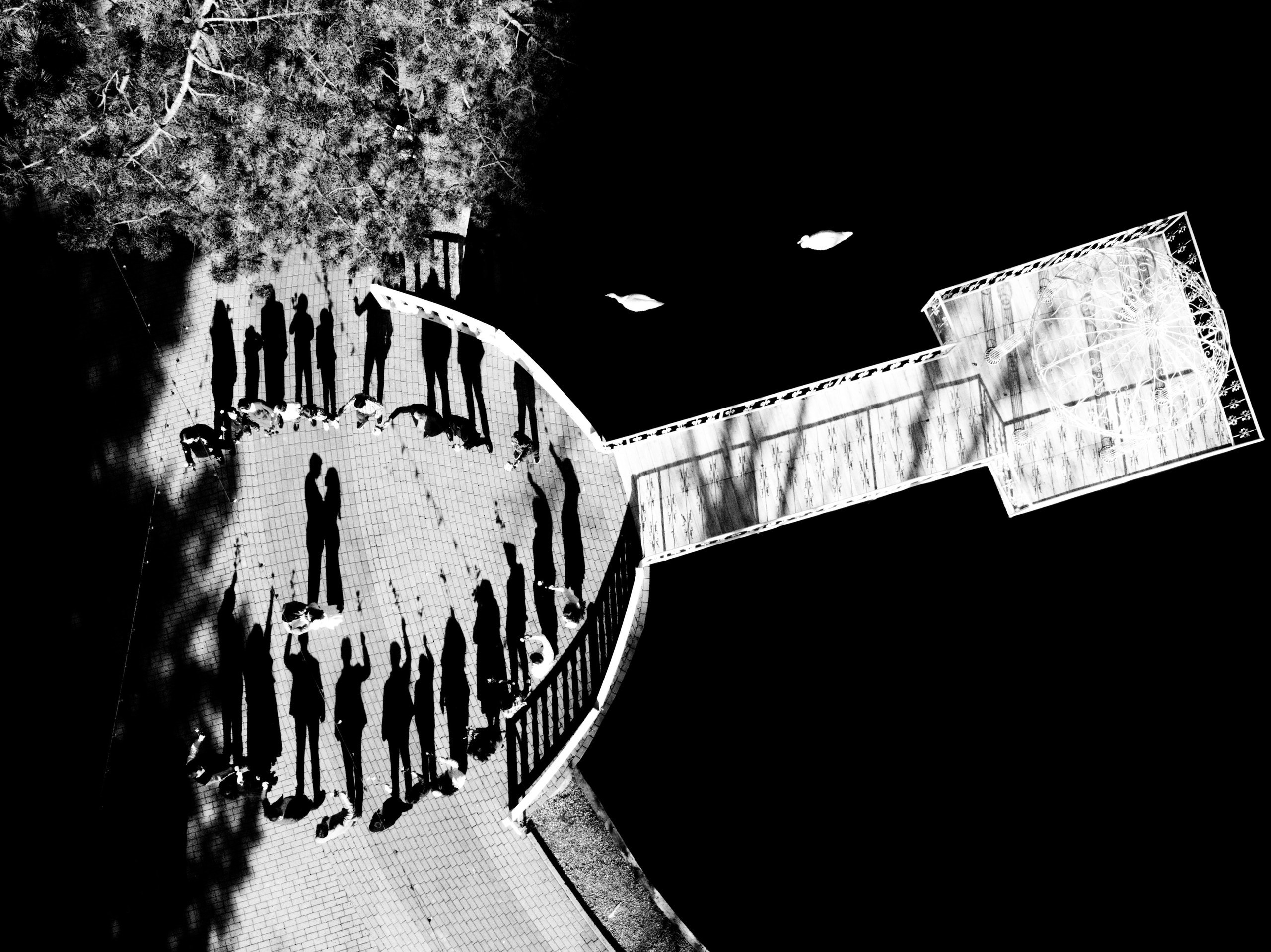 M+D Arad Domeniul Lupas. Foto-Video Nunta Iasi, Suceava, Bucuresti / Disponibilitate 2025 — 2026 — 2027