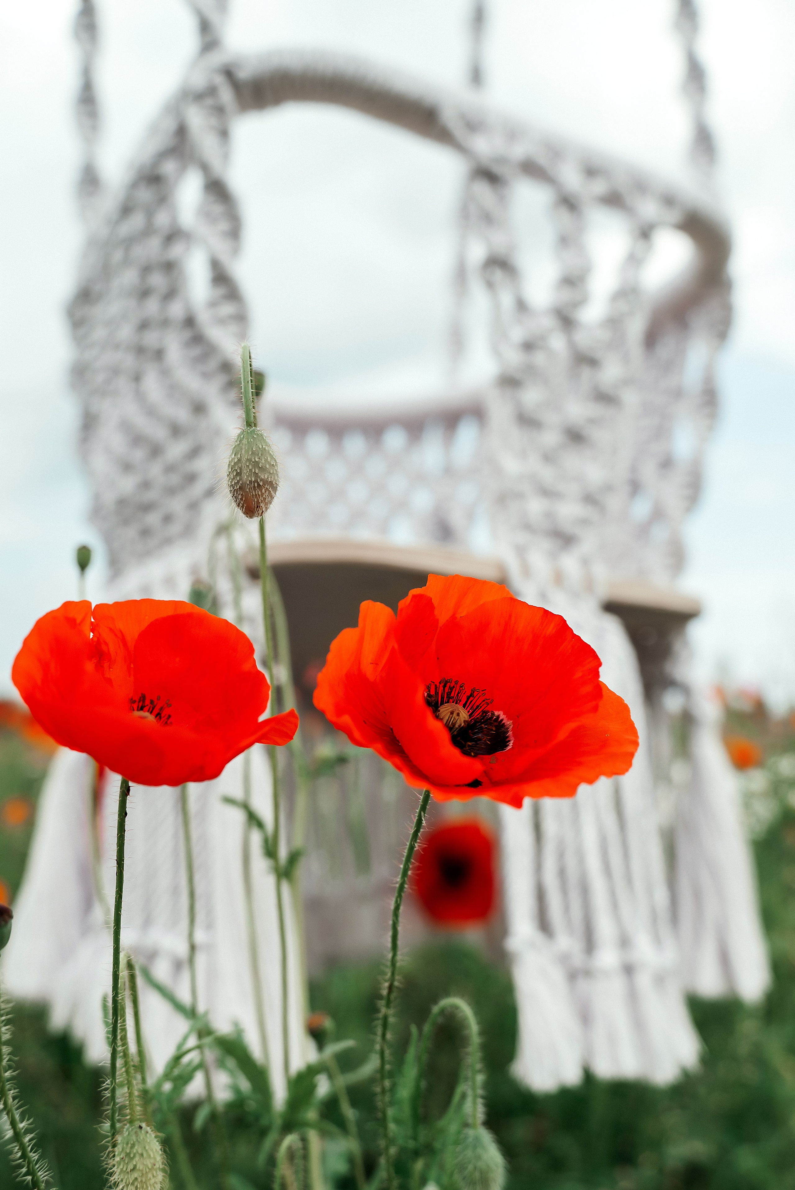 Качели. Ваш фотограф в Латгалии — Александра Юхневича!