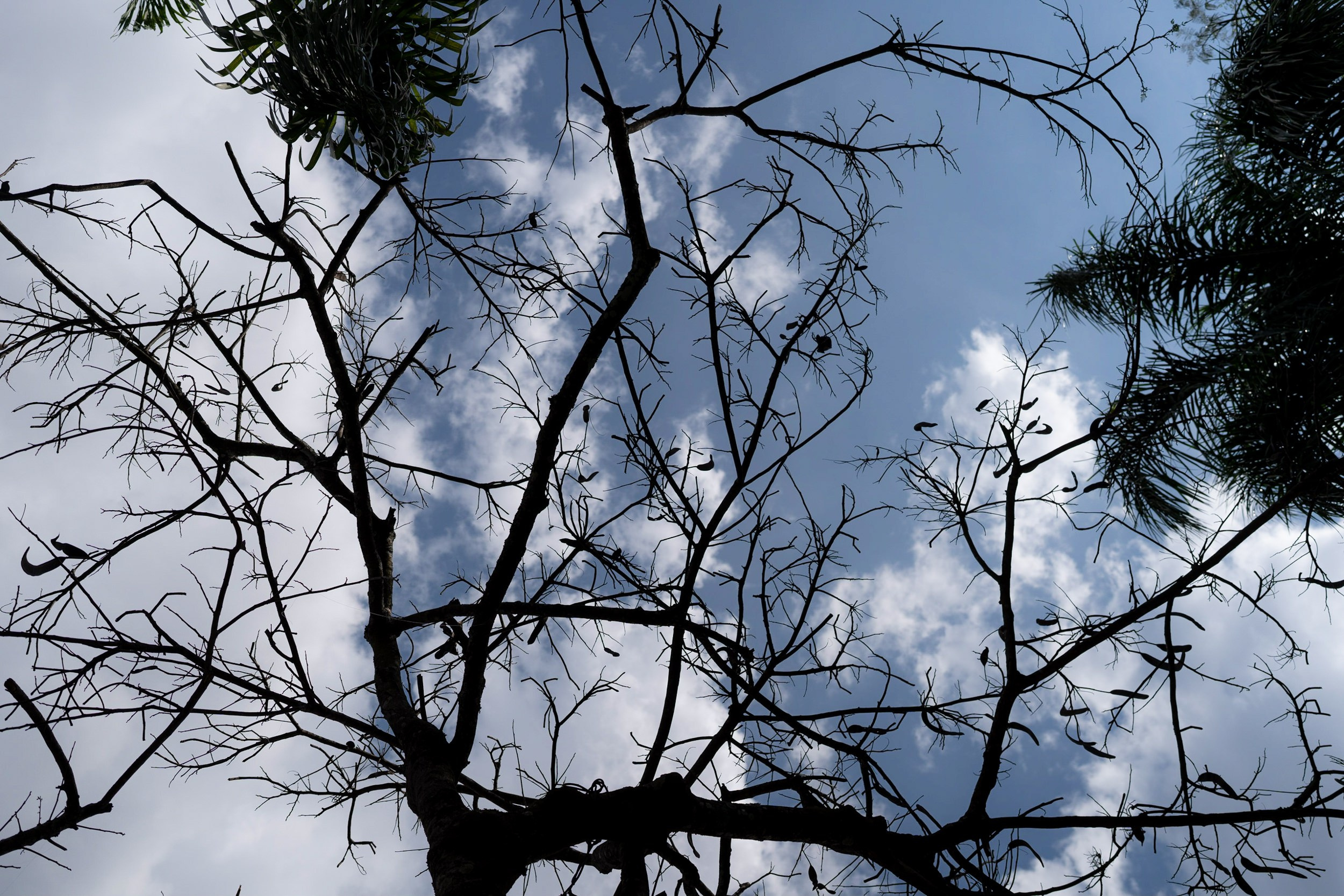 Pedro & Lídia. Fabio Barth | Foto e Filme de casamento