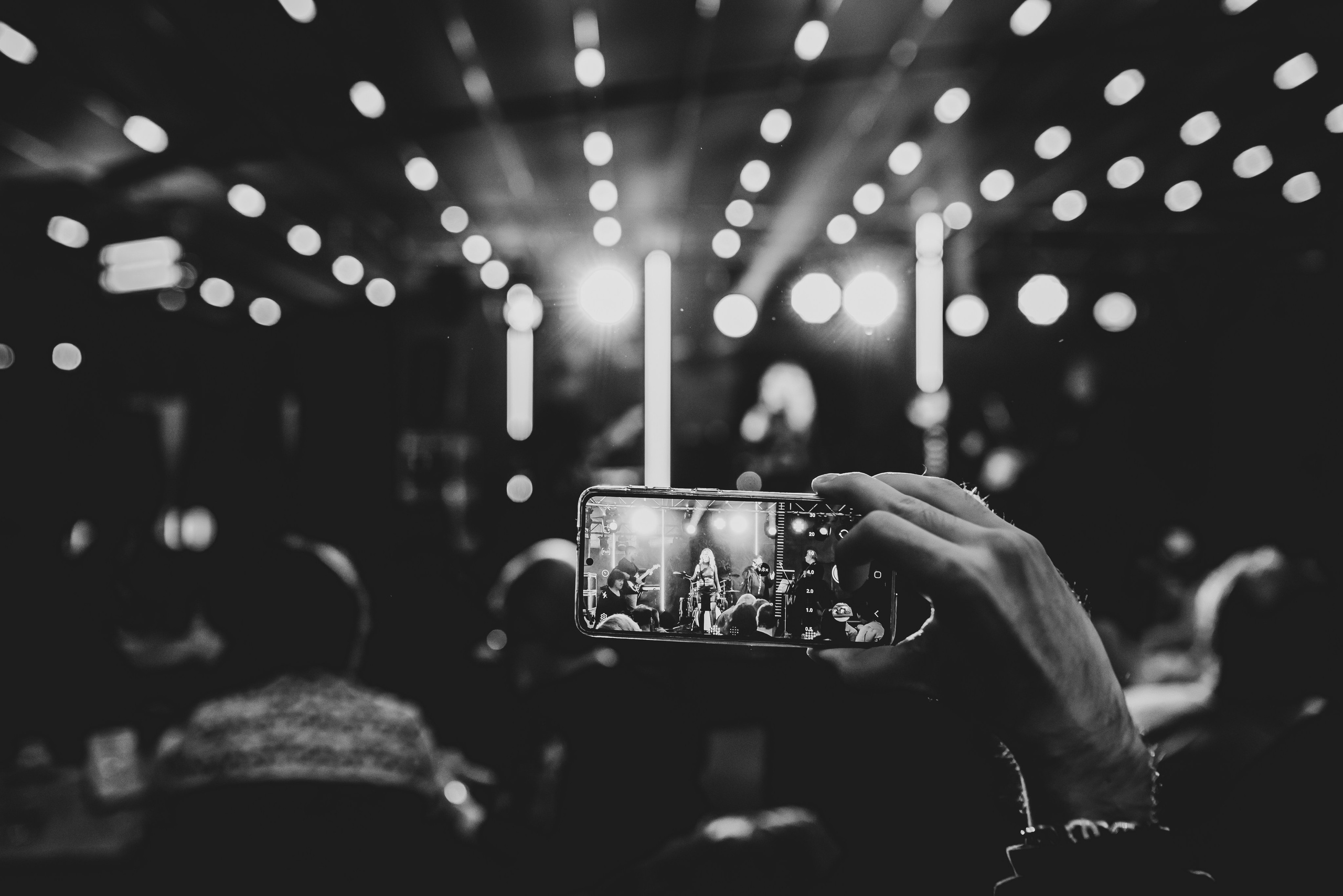 Roosters. Giani Maftei