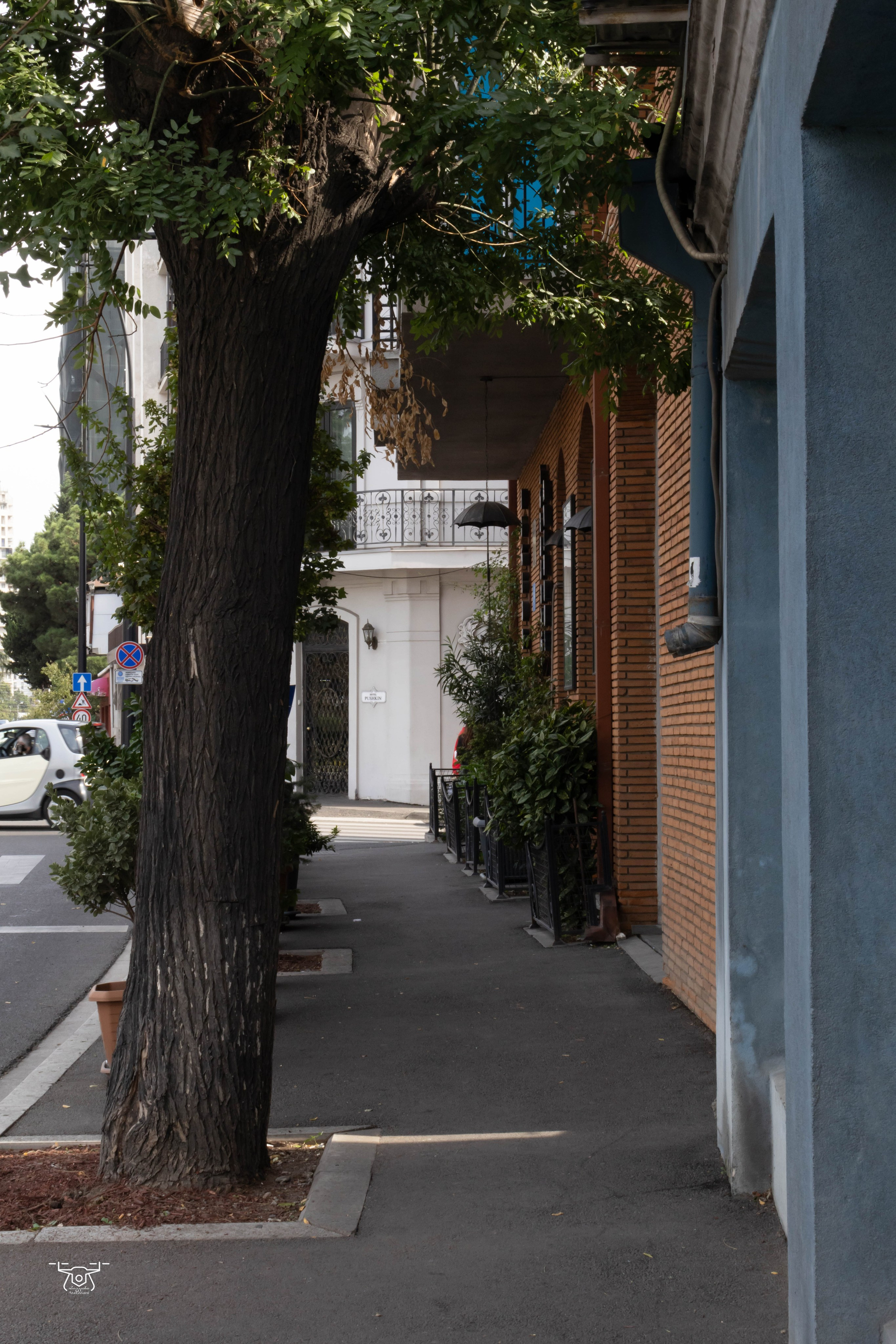 ქალაქი და ადამიანი. FramefreeMan