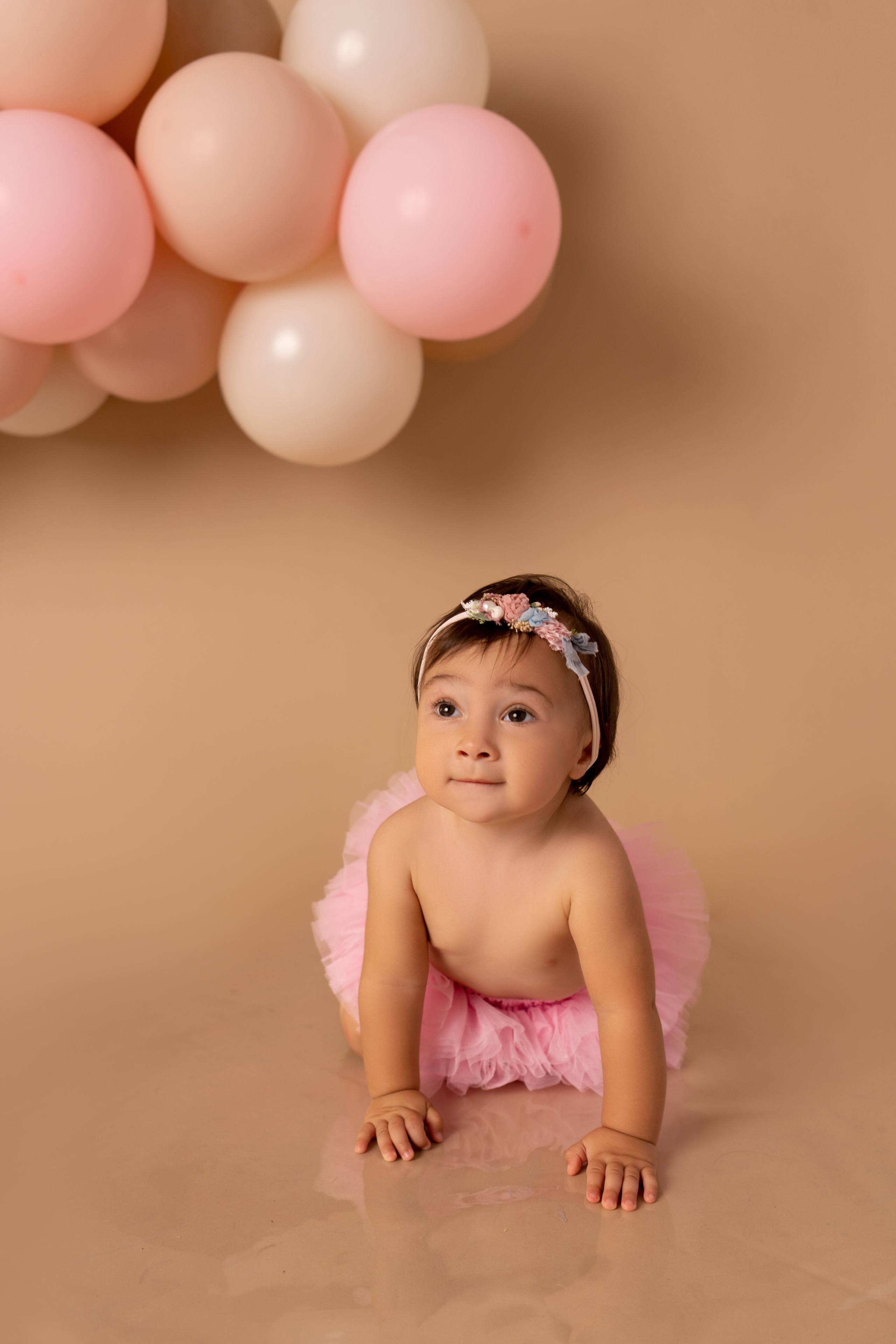 Primo Compleanno. Mylittlenewbornphotography