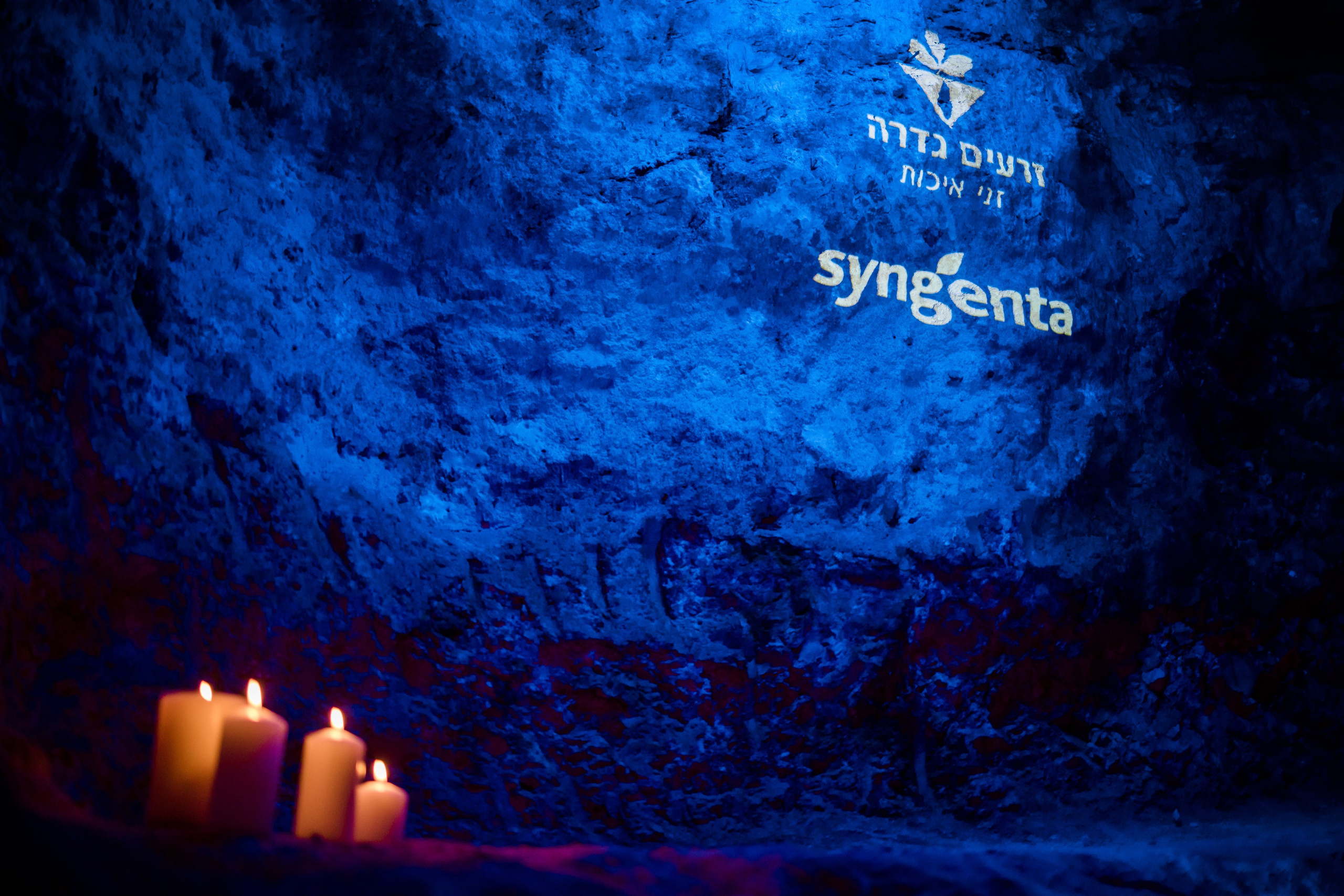 זרעי גדרה — SYNGENTA. AMIR BUCHNIK PHOTOGRAPHER