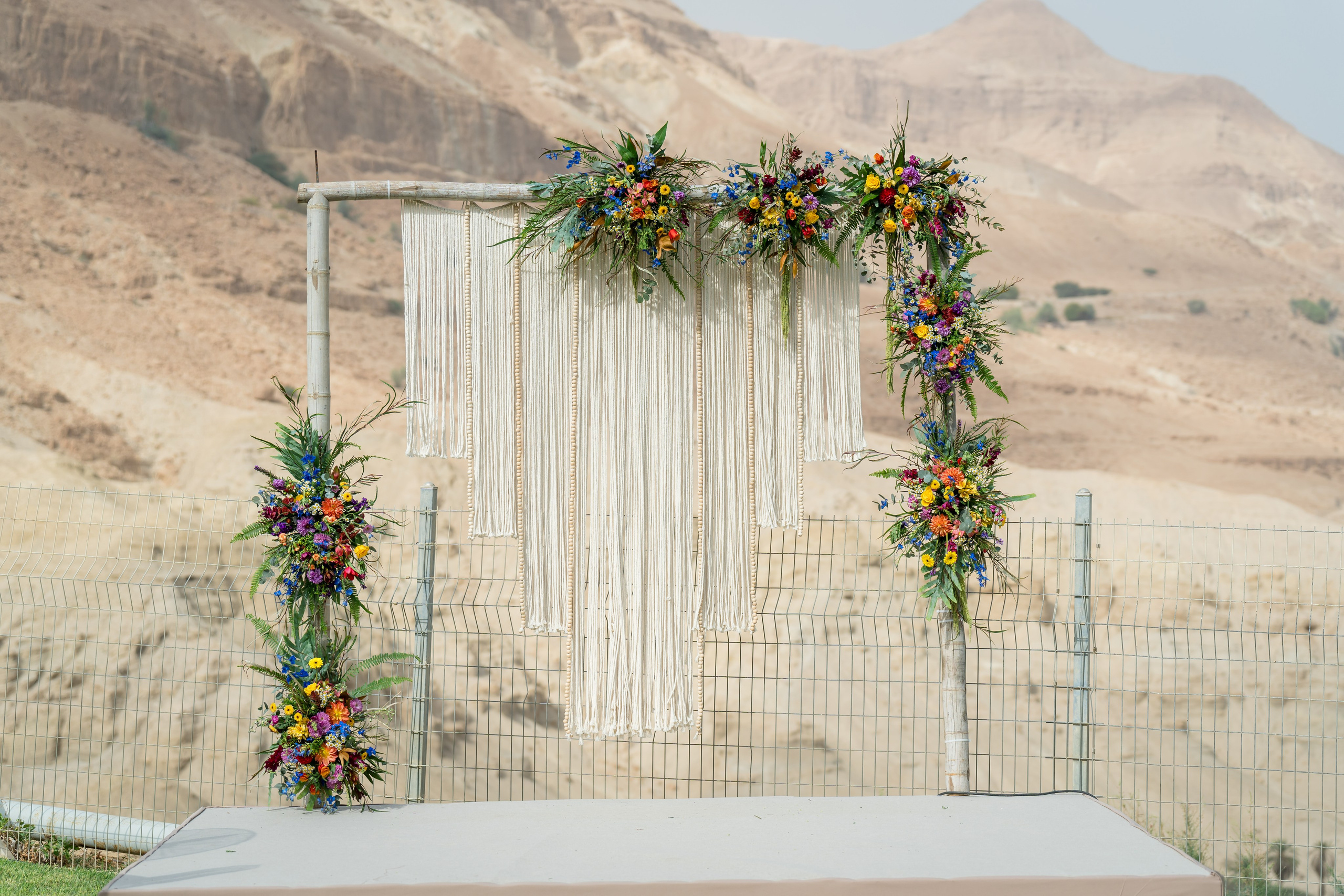 Shirley & Yoav. AMIR BUCHNIK PHOTOGRAPHER