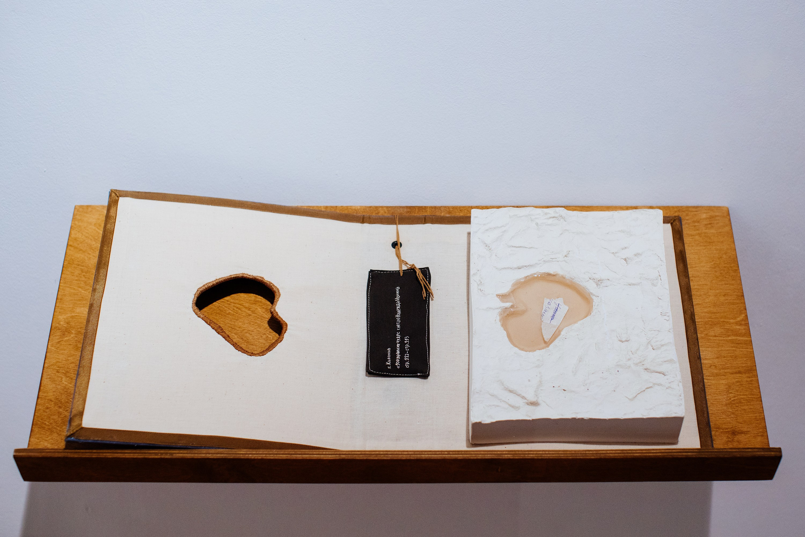 The Worlds i[i] / 2021 — IN-PROGRESS. Daria Goncharova / Conceptual artist