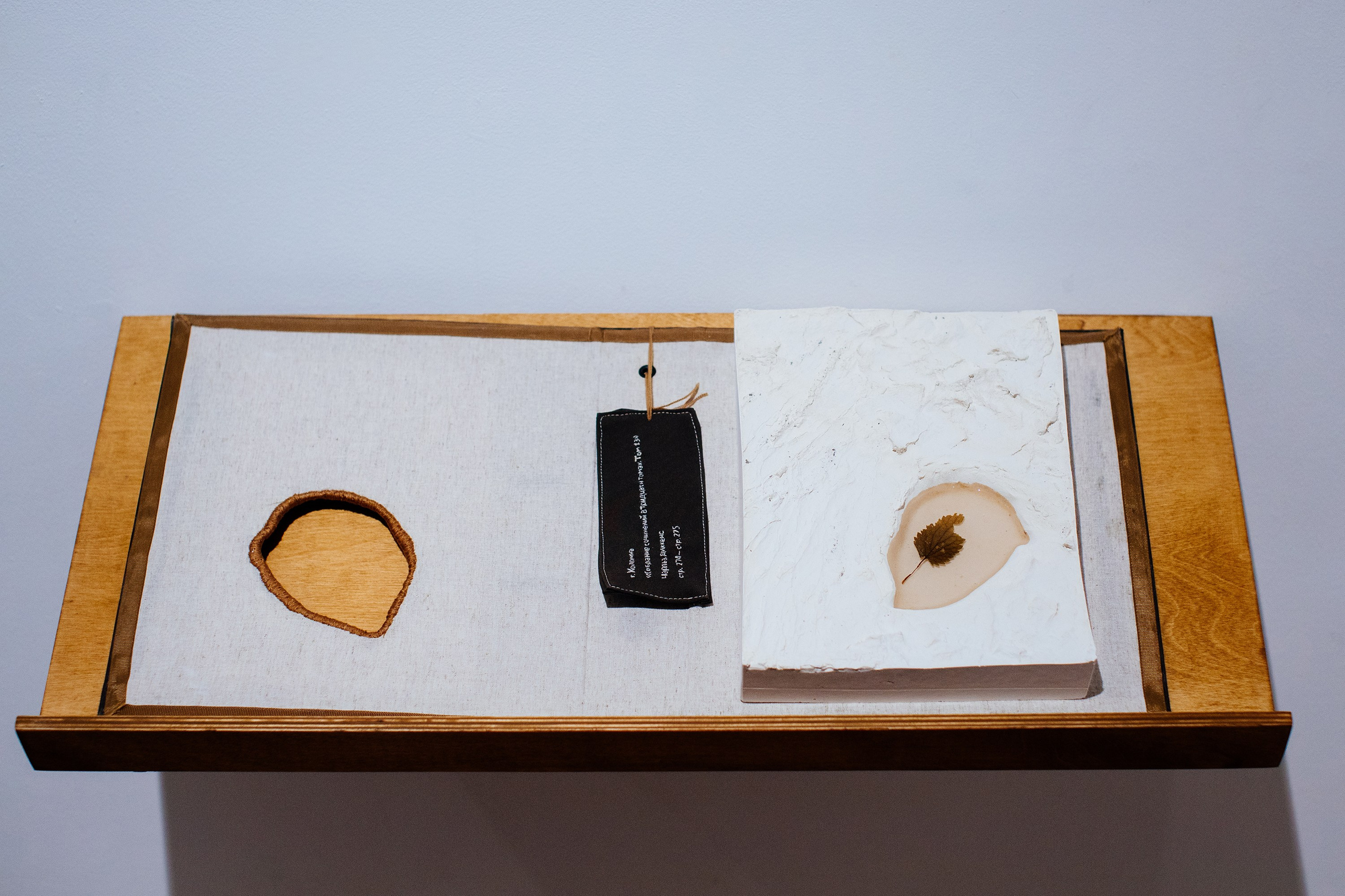 The Worlds i[i] / 2021 — IN-PROGRESS. Daria Goncharova / Conceptual artist