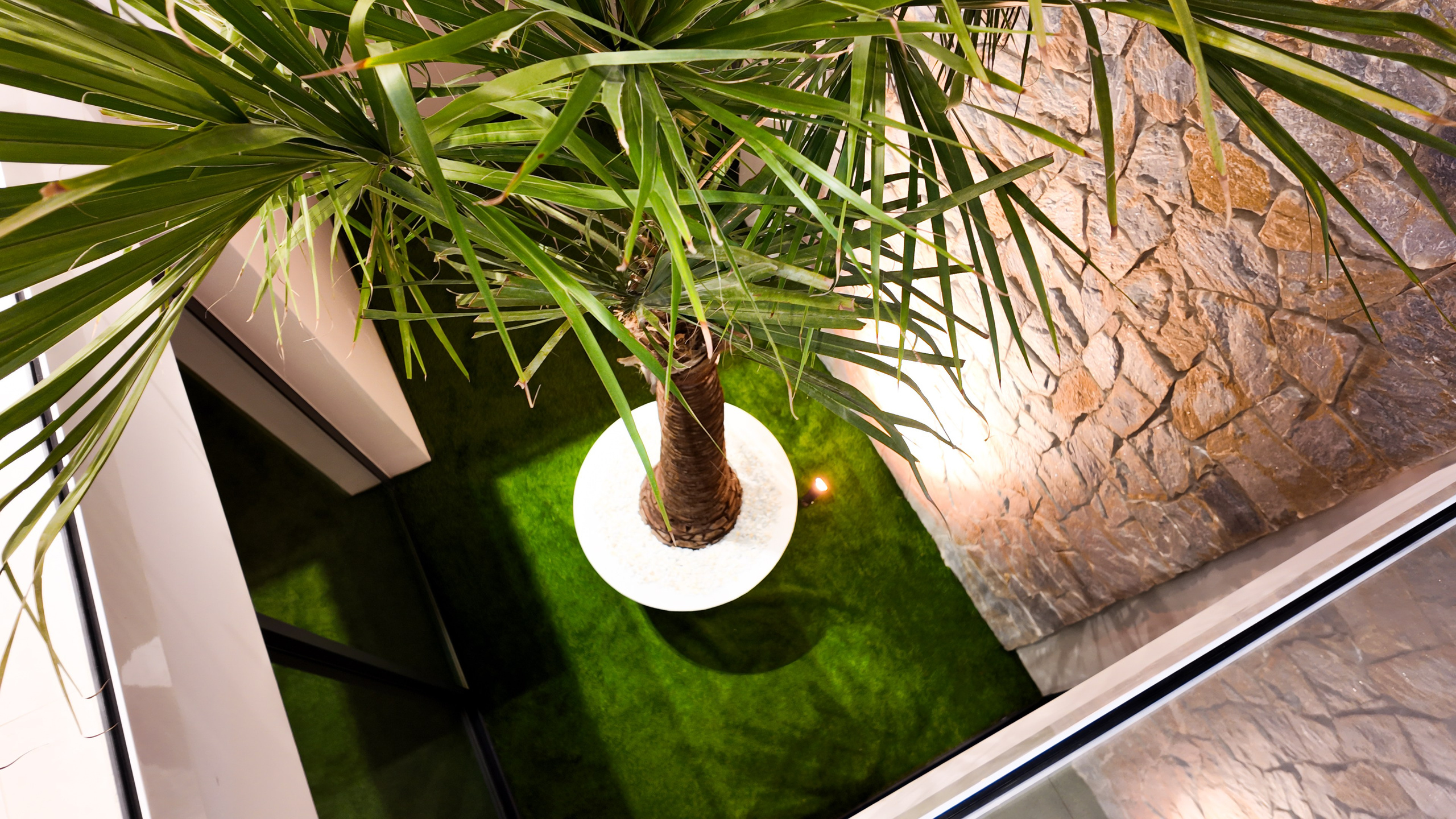 Villa PALMERA I’M GROUP. Baby Beast