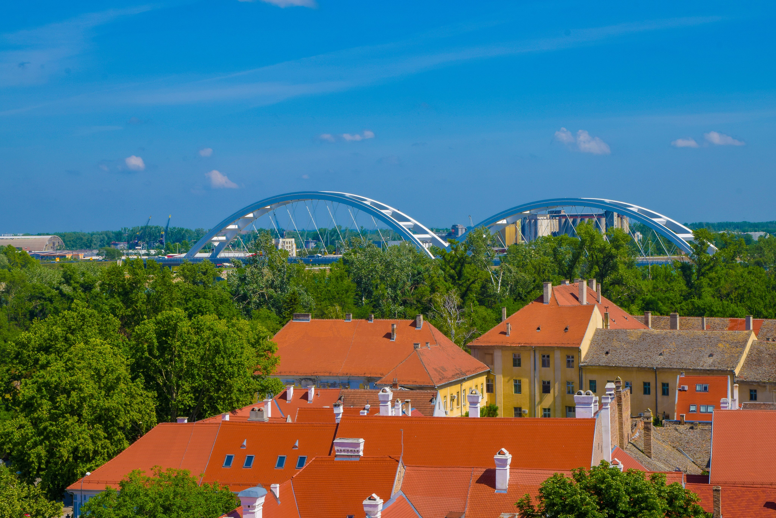 Петроварадин - галерија на продају. Викторија Федосеенко, фотограф у Србији