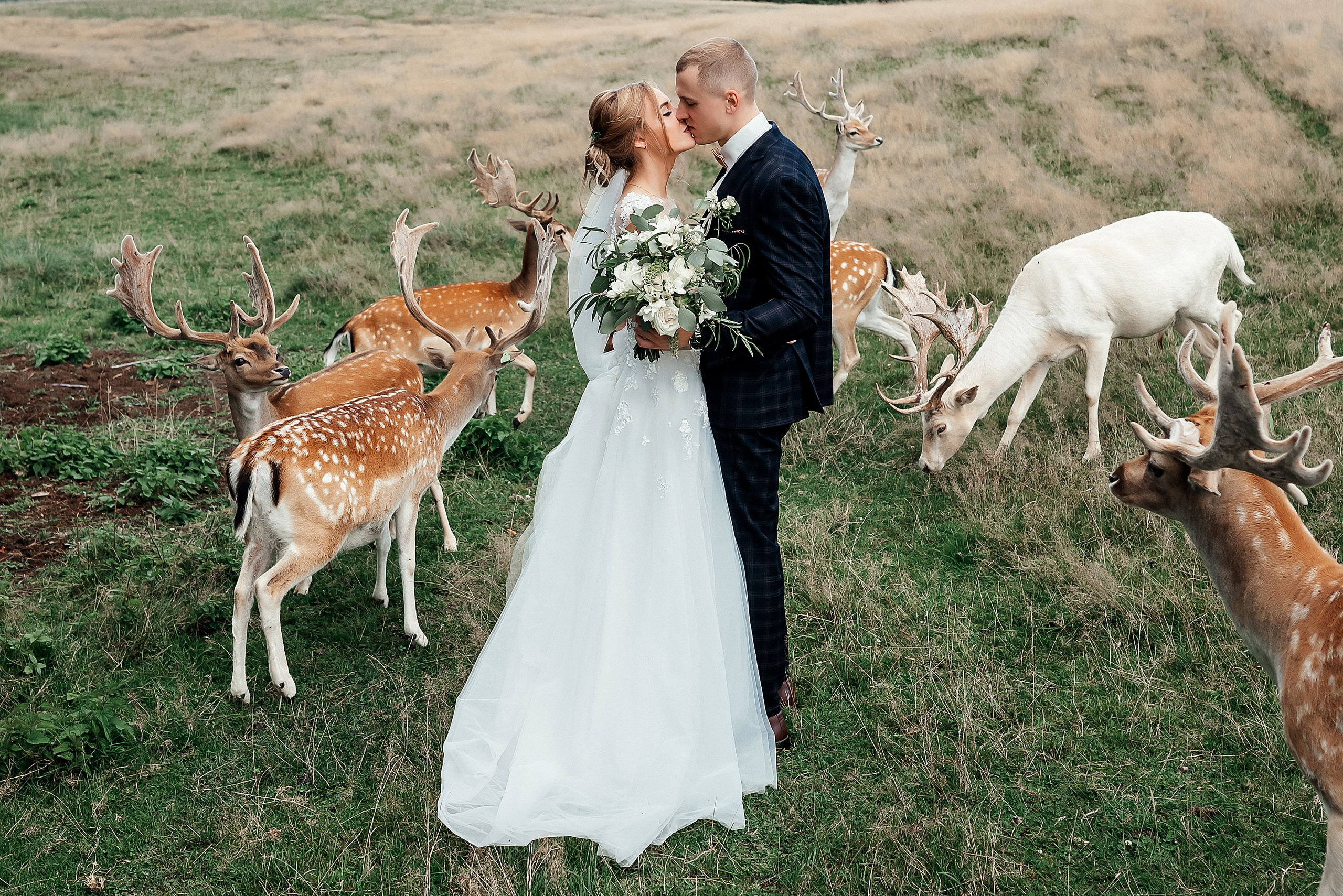 Baiba Anna un Alvils. Ваш фотограф в Латгалии — Александра Юхневича!
