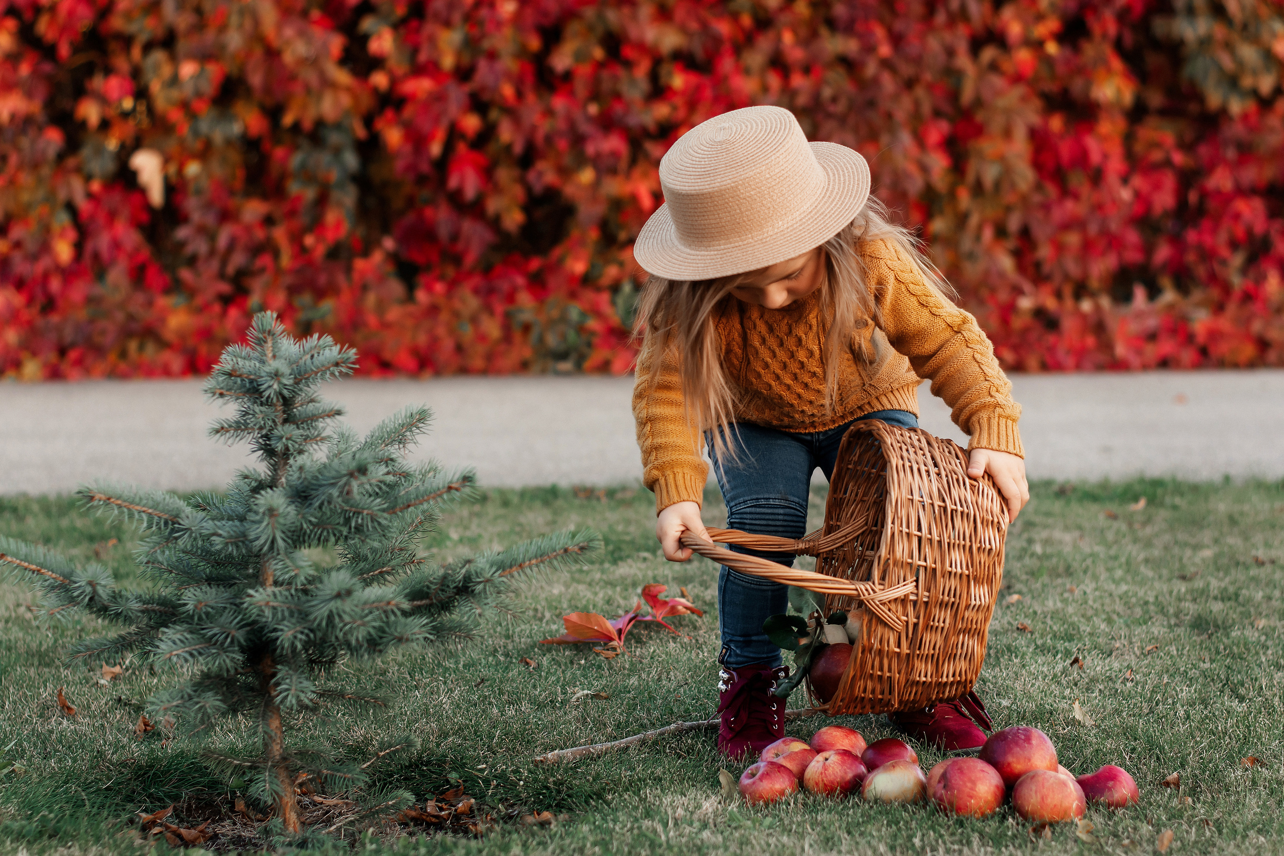 София. Осень. Ваш фотограф в Латгалии — Александра Юхневича!
