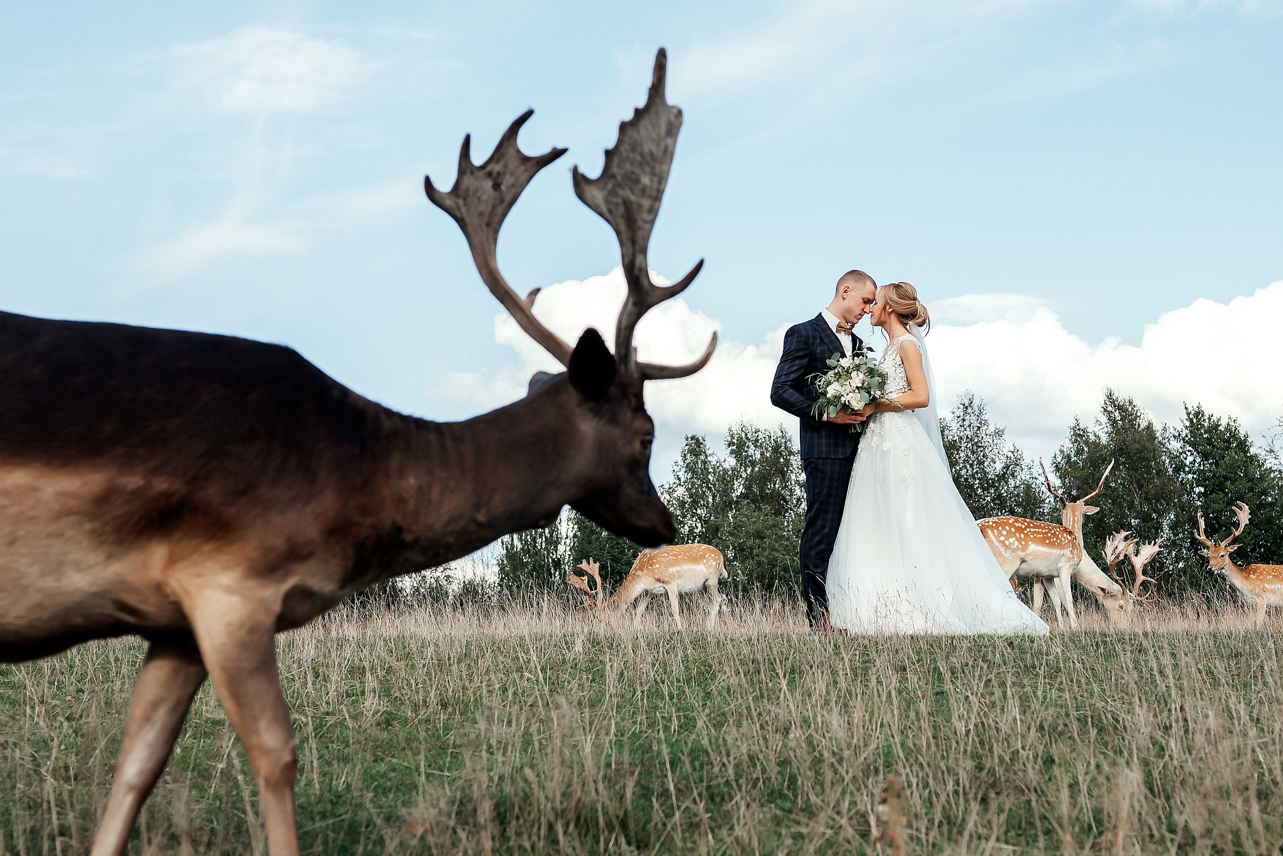Baiba Anna un Alvils. Ваш фотограф в Латгалии — Александра Юхневича!