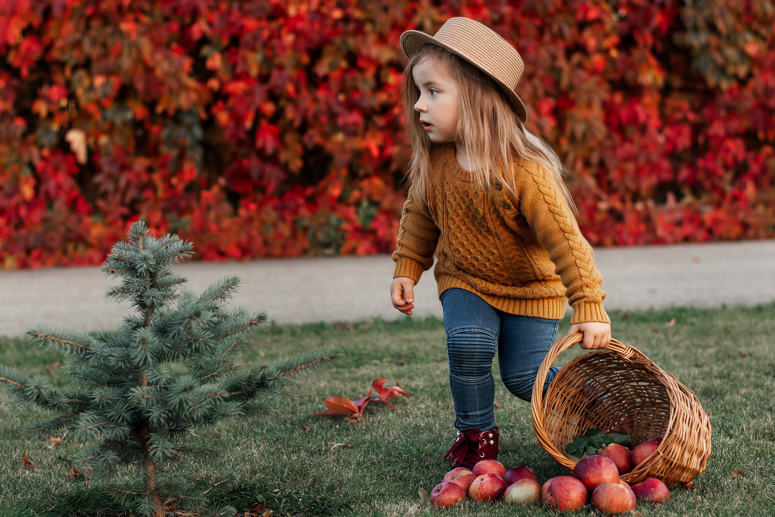София. Осень. Ваш фотограф в Латгалии — Александра Юхневича!