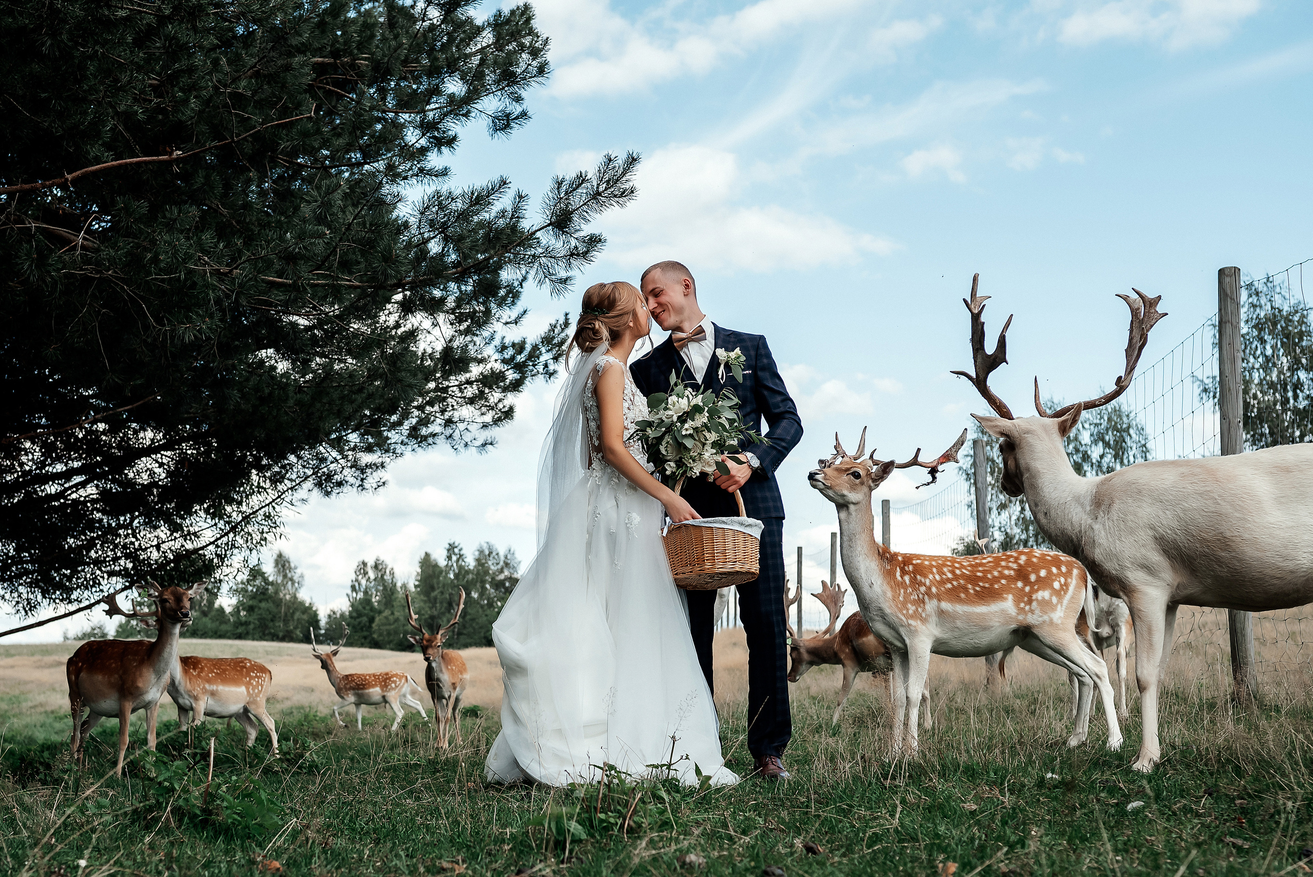 Baiba Anna un Alvils. Ваш фотограф в Латгалии — Александра Юхневича!