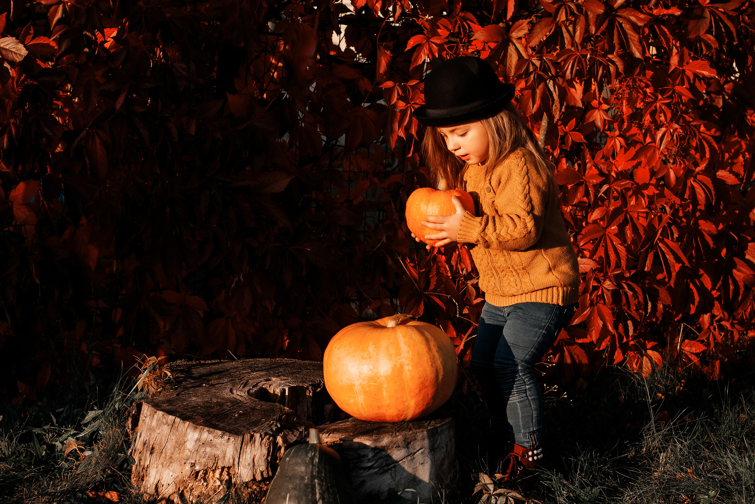 София. Осень. Ваш фотограф в Латгалии — Александра Юхневича!