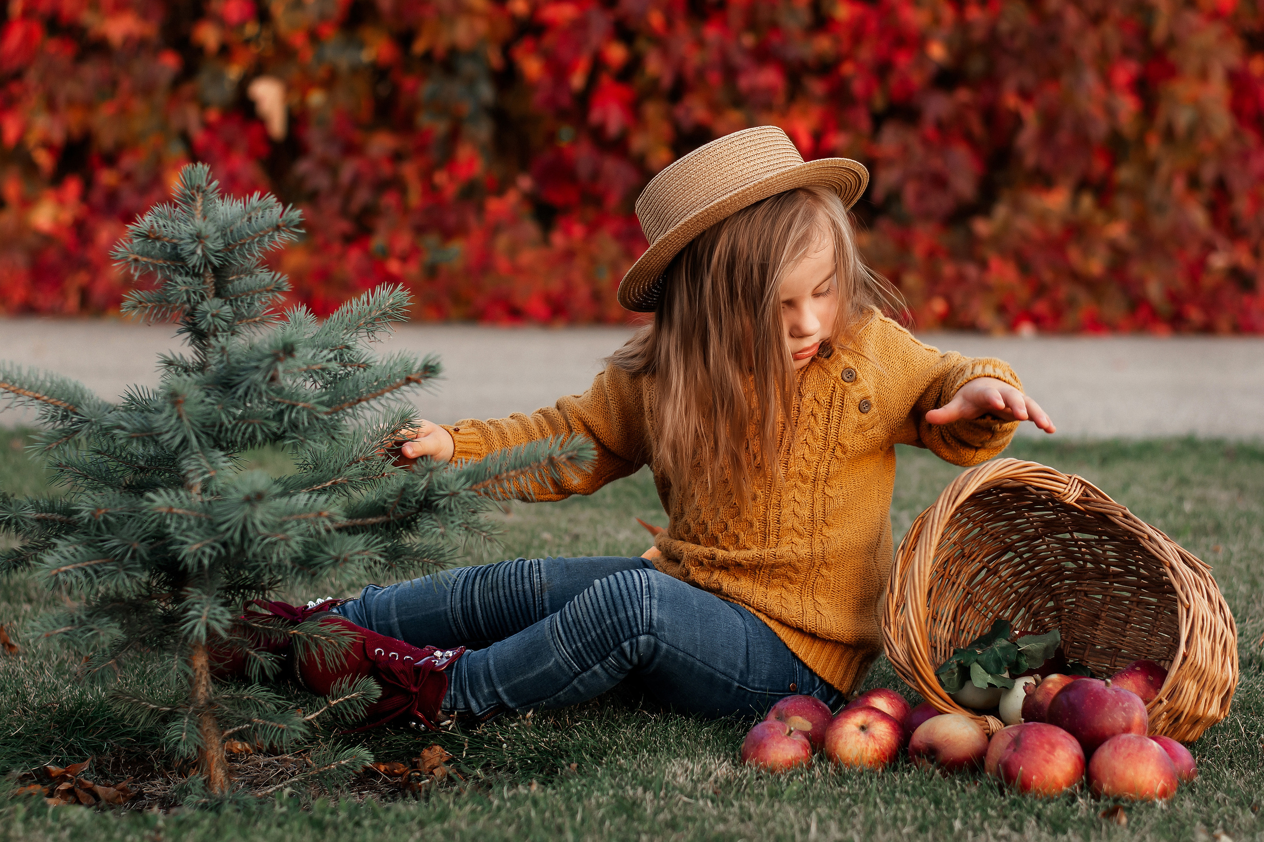 София. Осень. Ваш фотограф в Латгалии — Александра Юхневича!