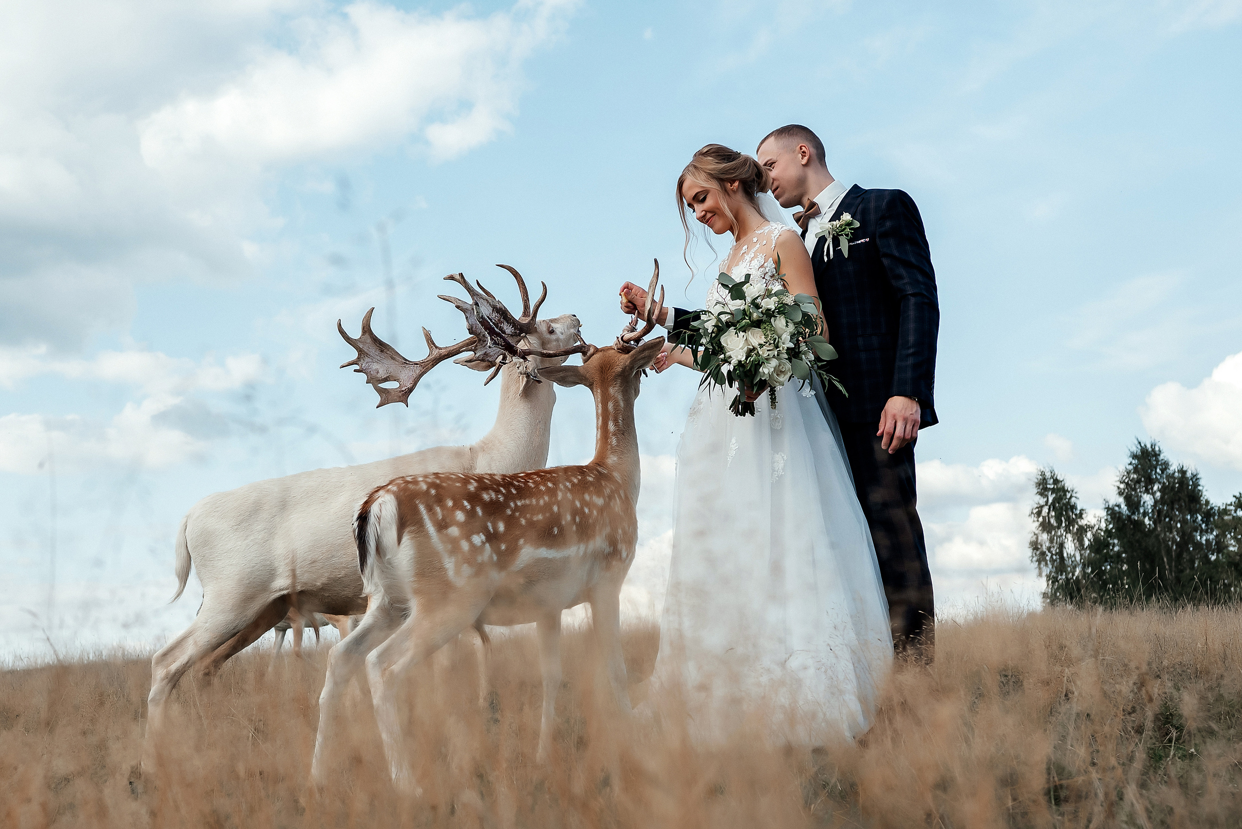 Baiba Anna un Alvils. Ваш фотограф в Латгалии — Александра Юхневича!