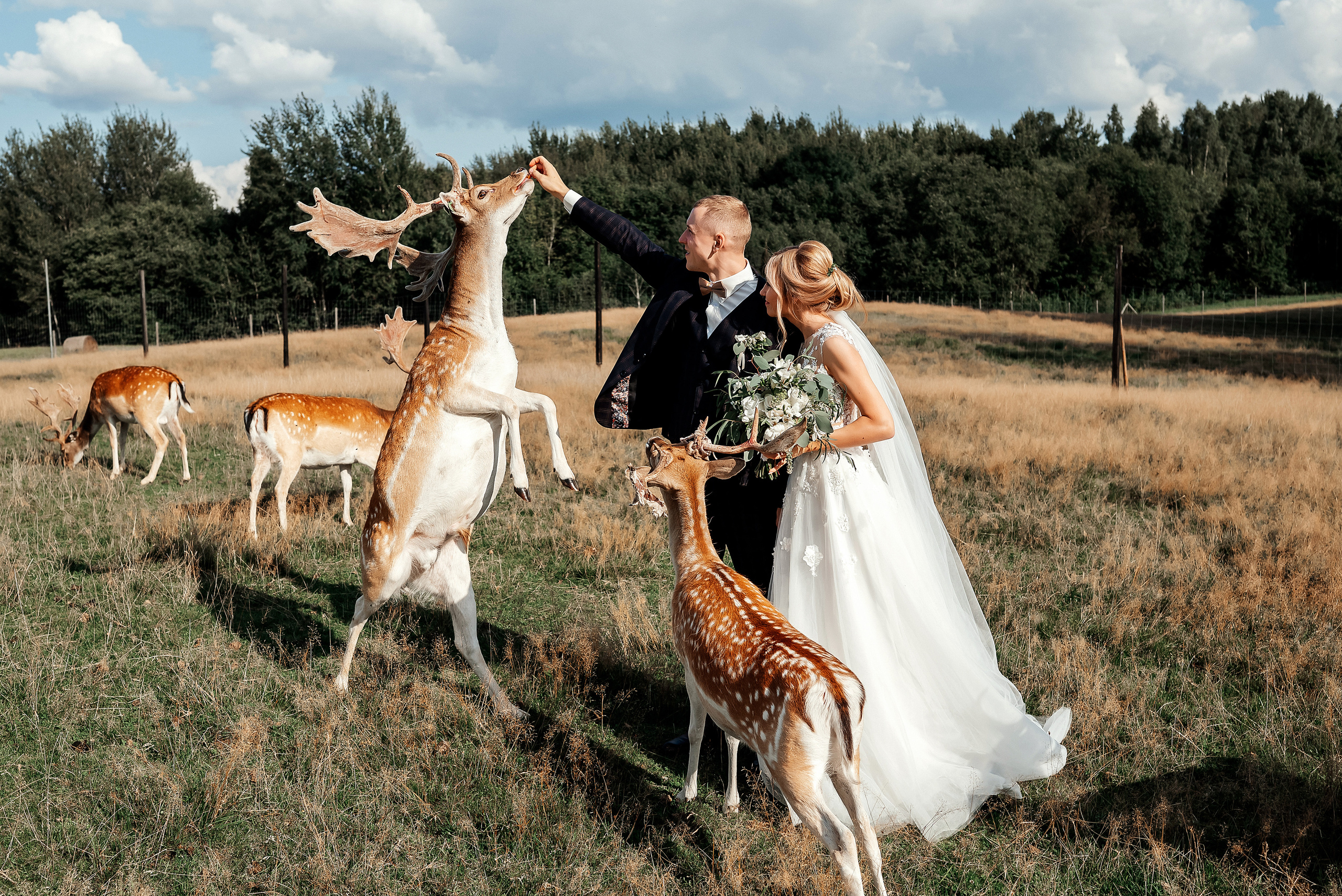 Baiba Anna un Alvils. Ваш фотограф в Латгалии — Александра Юхневича!