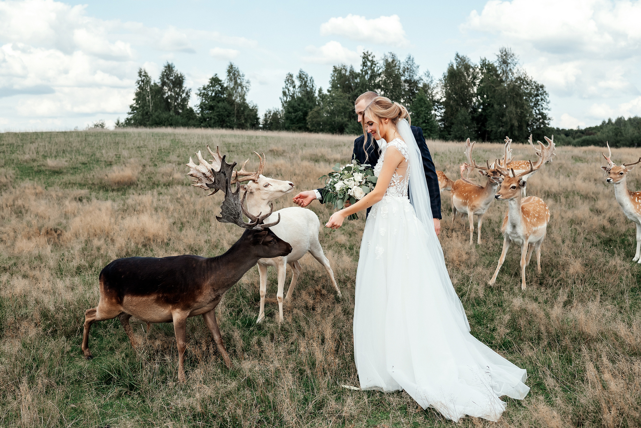 Baiba Anna un Alvils. Ваш фотограф в Латгалии — Александра Юхневича!