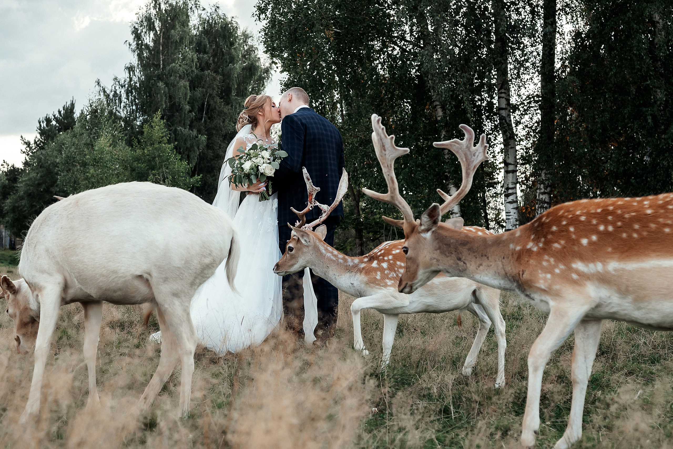 Baiba Anna un Alvils. Ваш фотограф в Латгалии — Александра Юхневича!